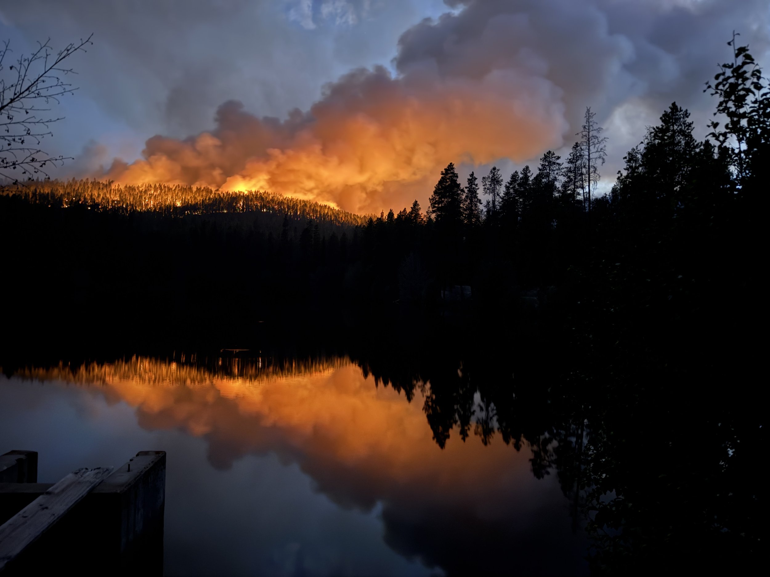 A Native Trout Rescue Built on Years of Conservation Work