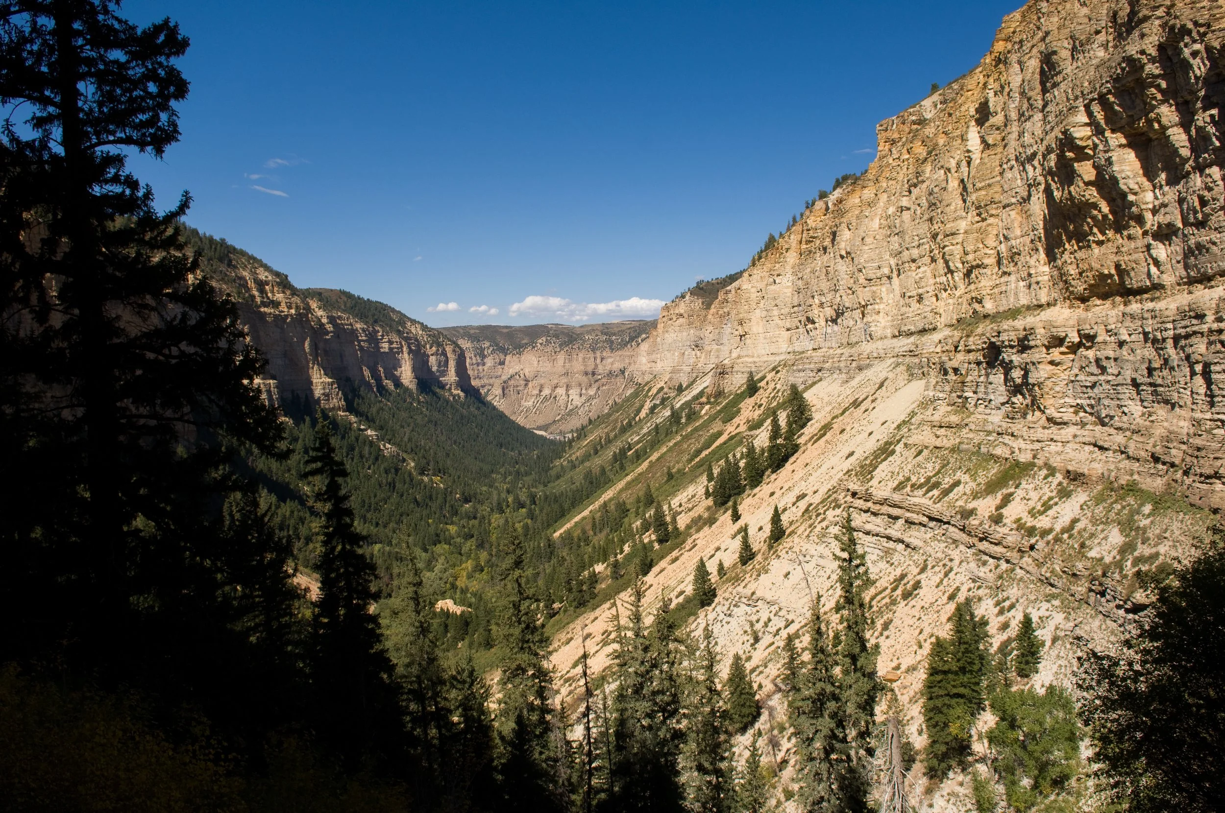 Comment on the BLM's Proposed Oil and Gas Rule
