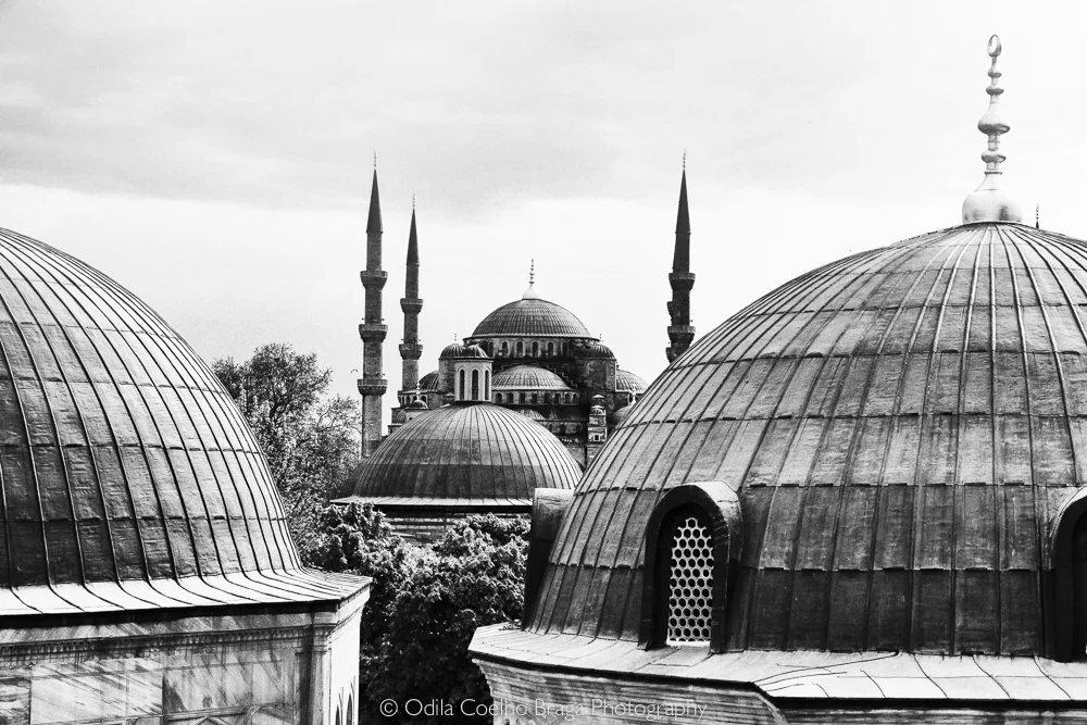 OB_5D__021172-Edit.jpg