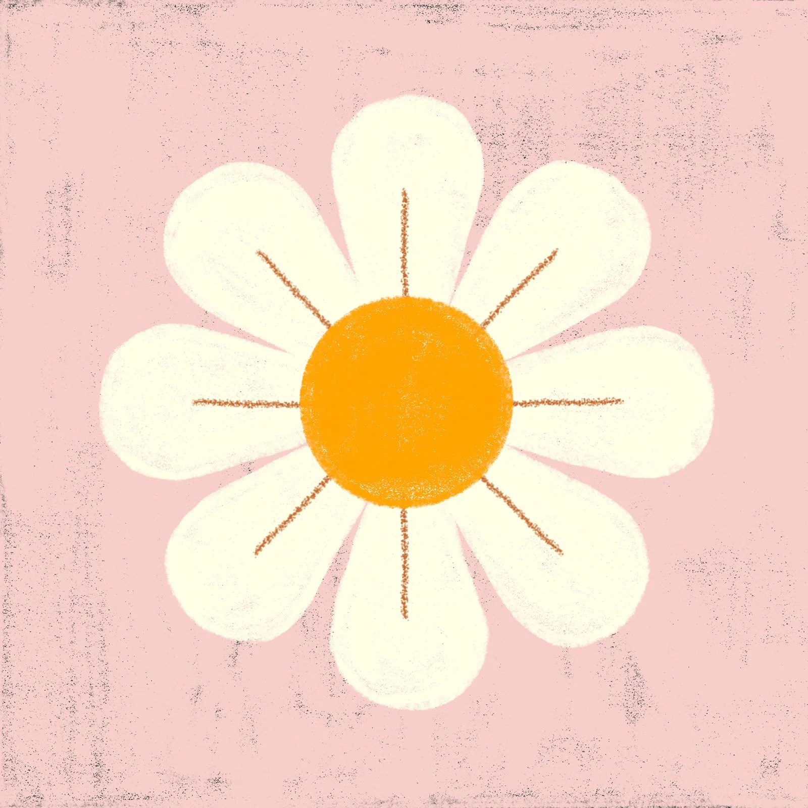 Colorful Cozy Crisp Flower.jpg