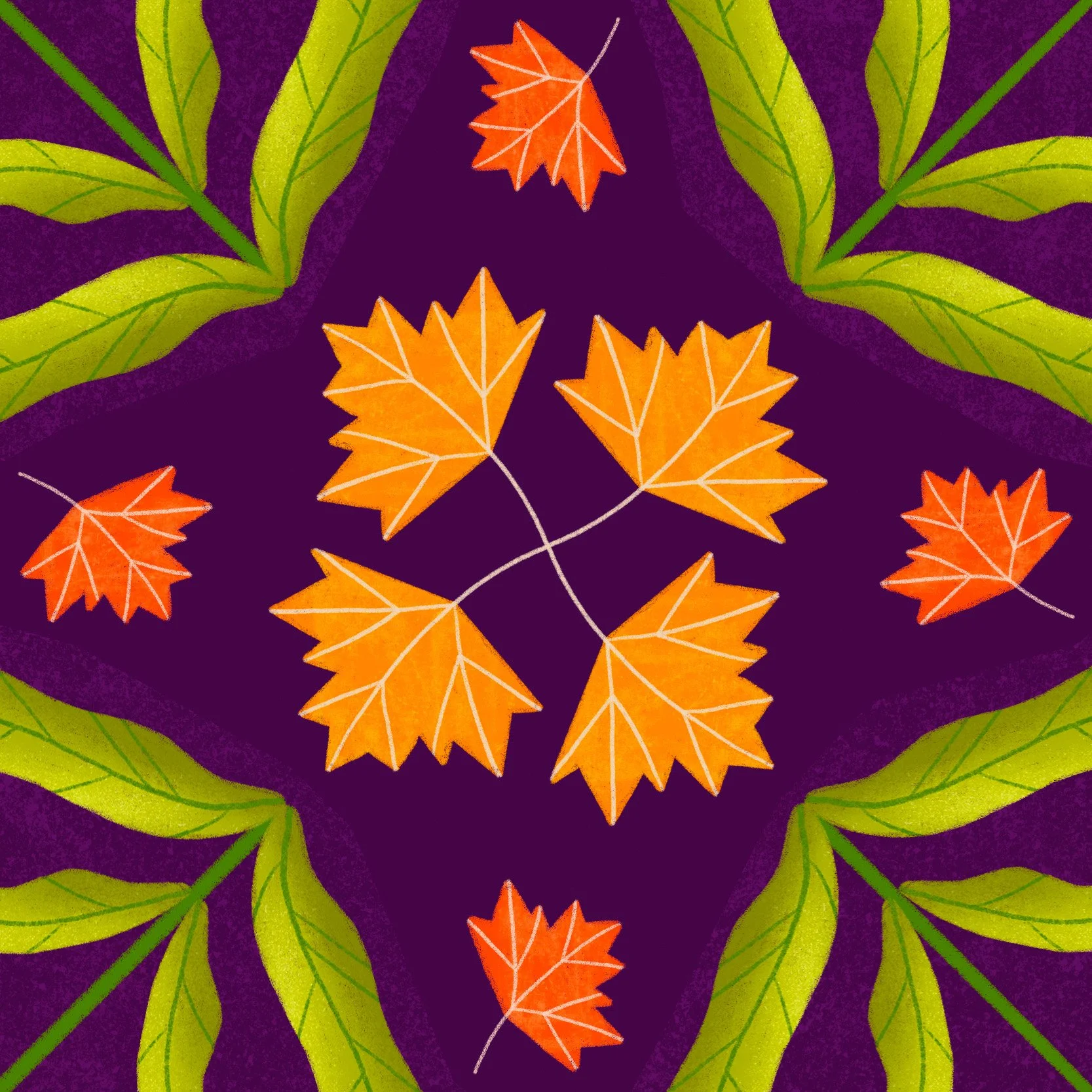 Mums Maple Magenta Featured.jpg
