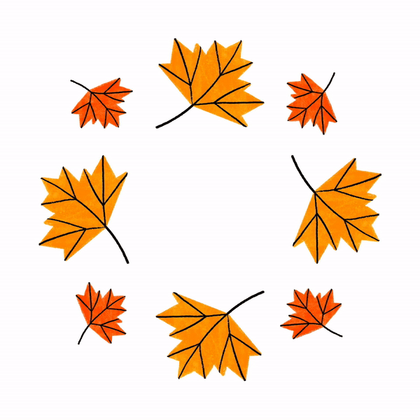 Mums Maple Magenta.gif