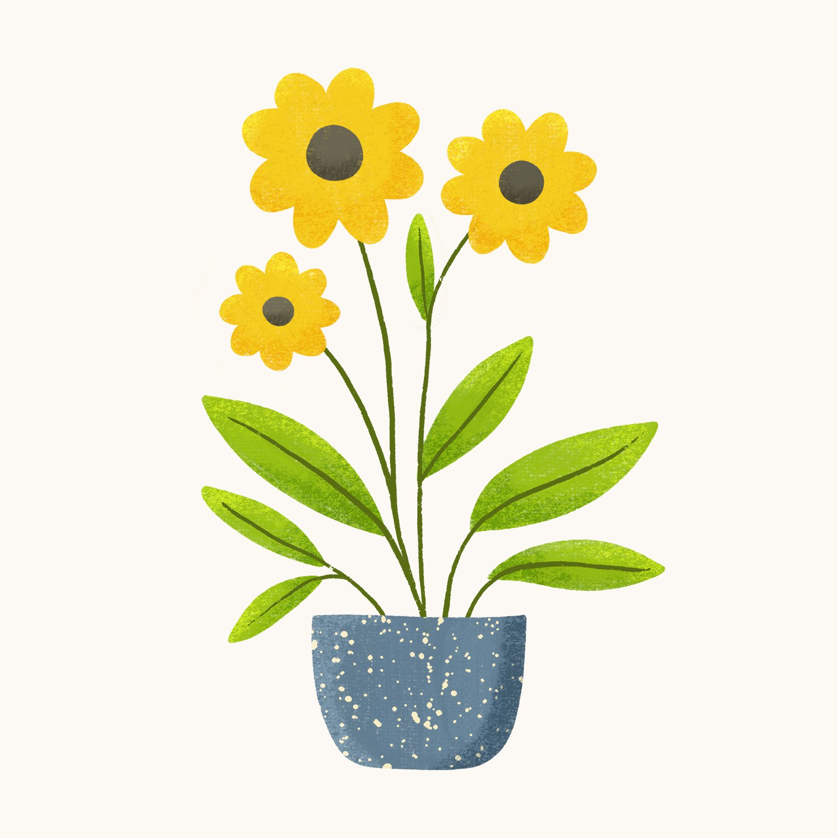 Potted Plant 2.jpg