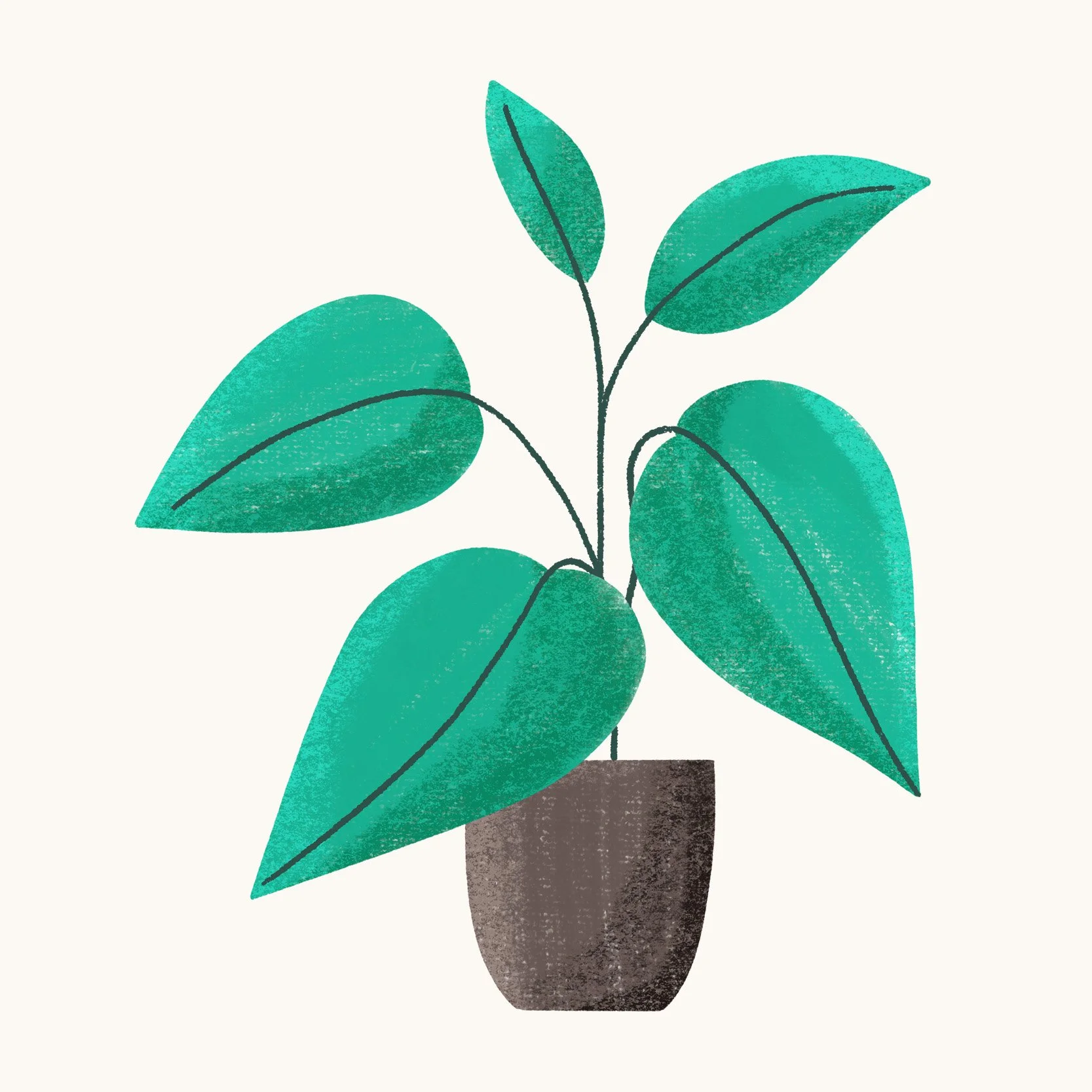 Potted Plant 3.jpg