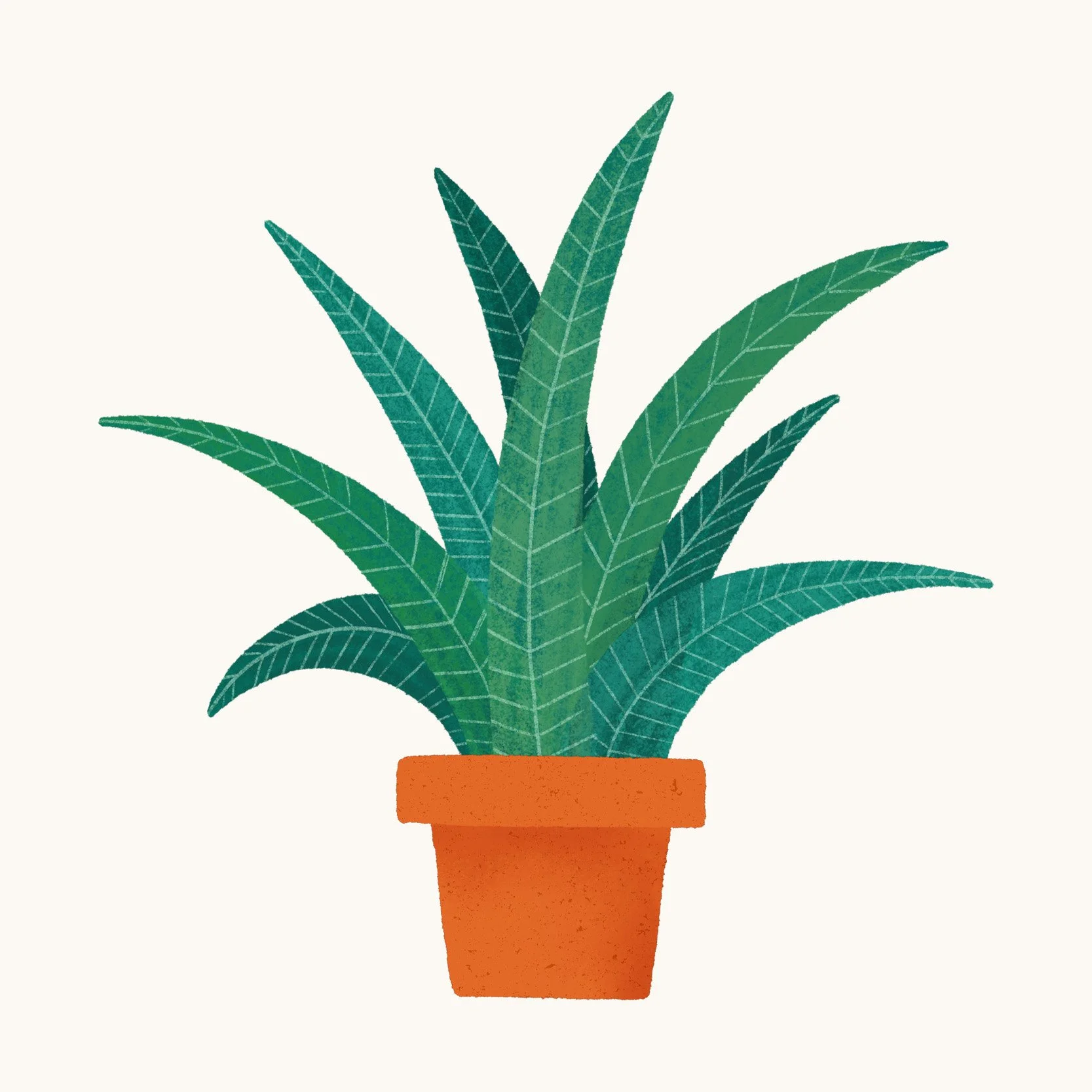 Potted Plant 4.jpg