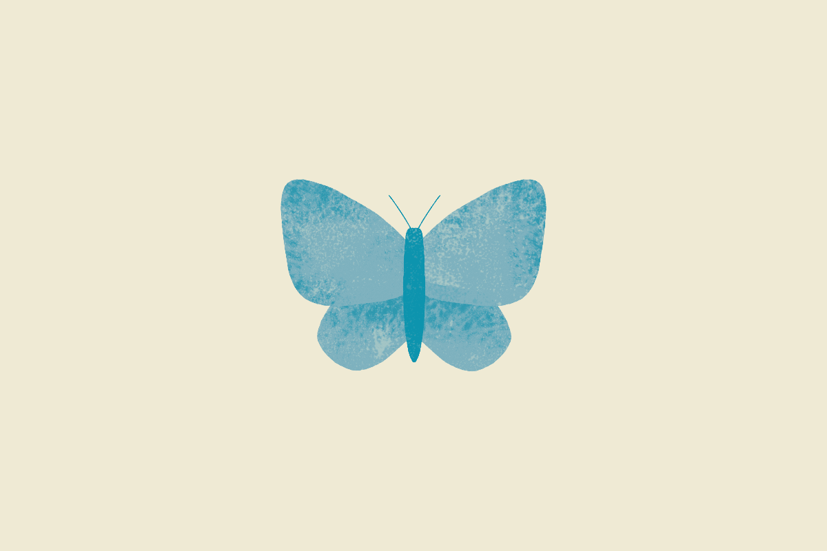 Nature Squares - Butterfly Thumbnail.gif