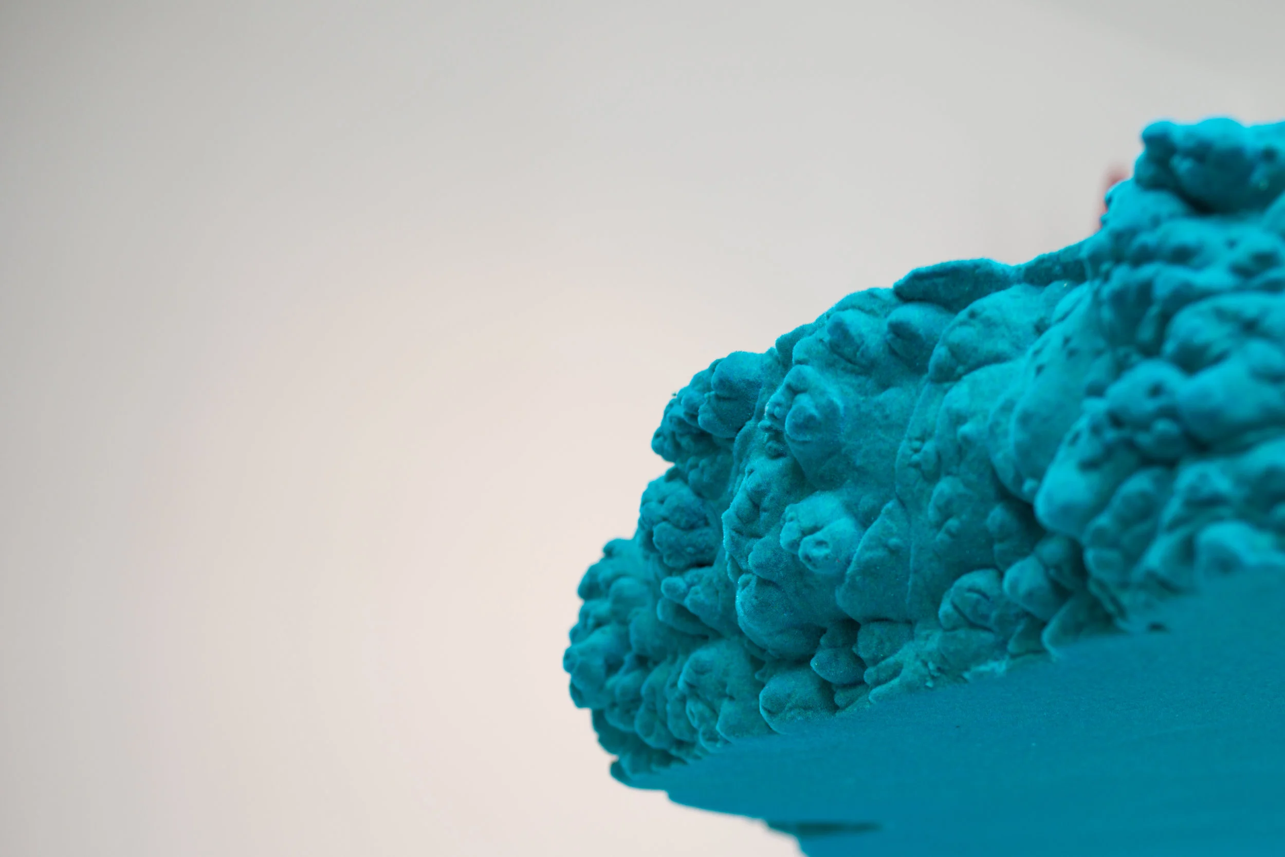 Copy of _OPH7387.jpg