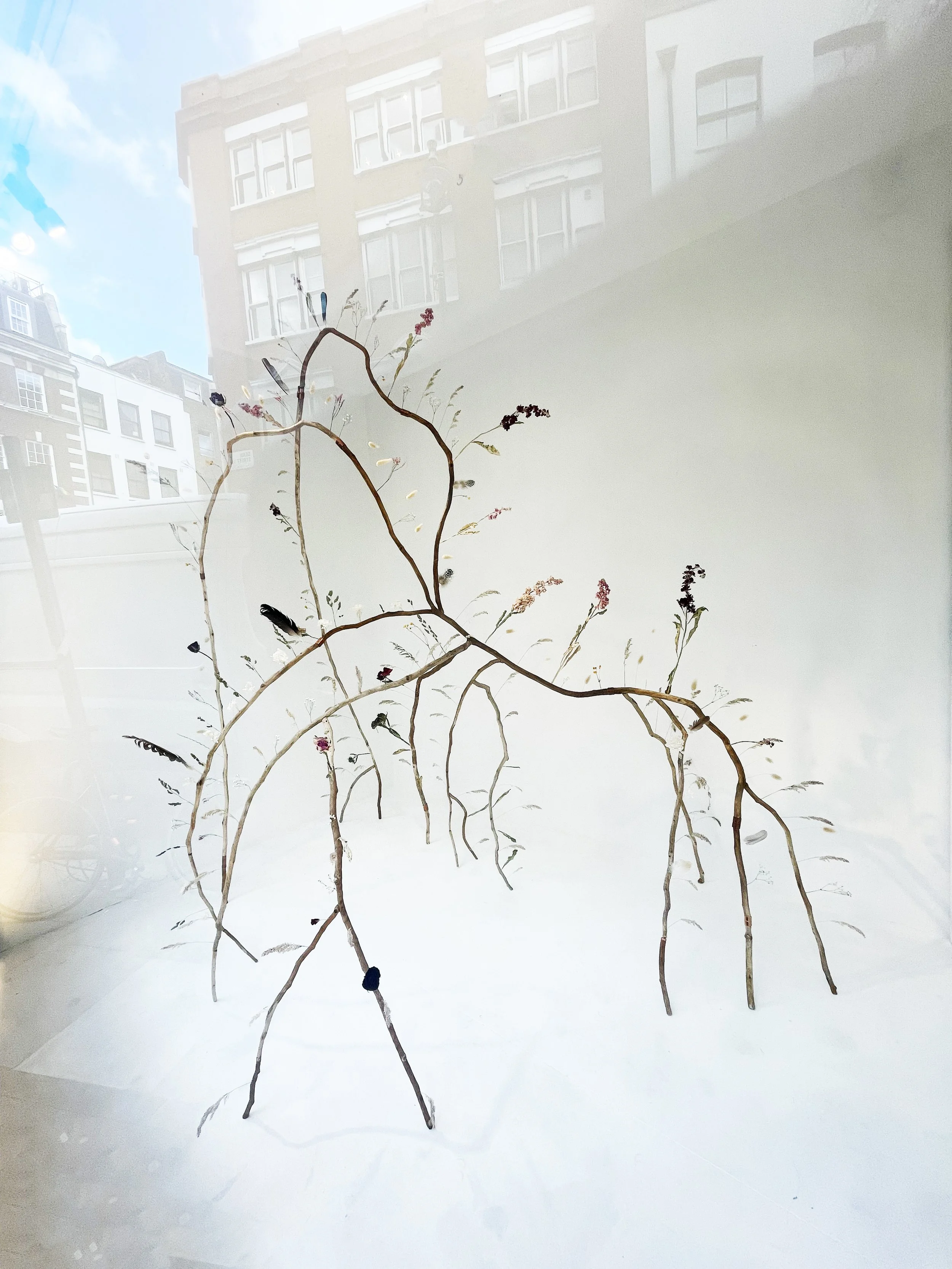 vue ensemble iphone.jpg