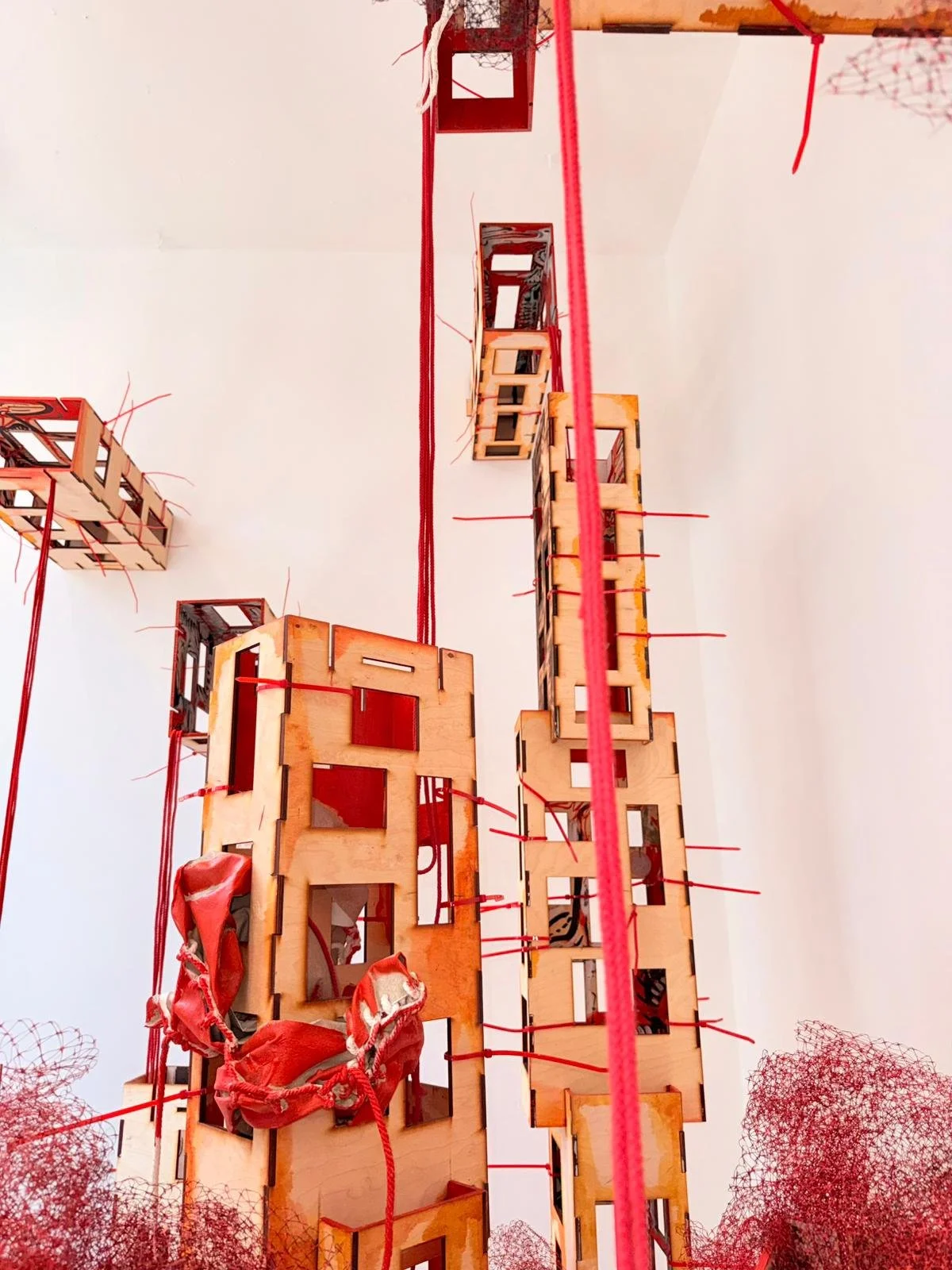 WhatsApp Image 2026-04-23 at 08.22.50.jpeg