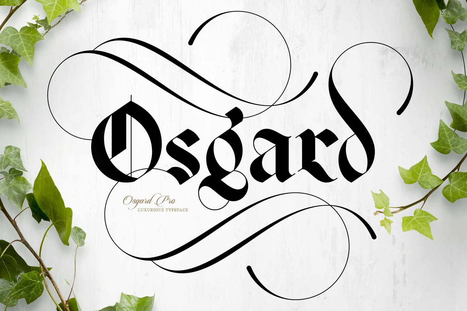 Osgard Pro