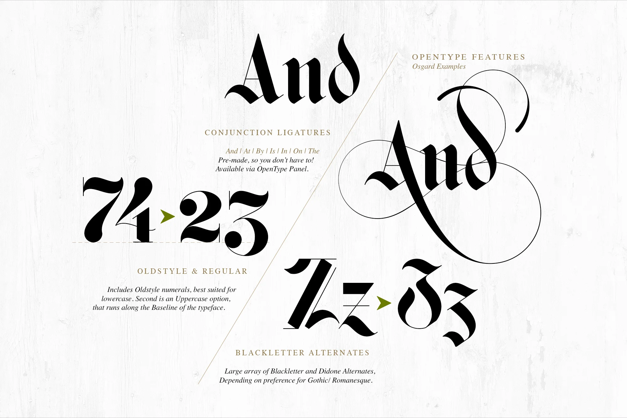 Opentype feature osgard portfolio 1.5.jpg