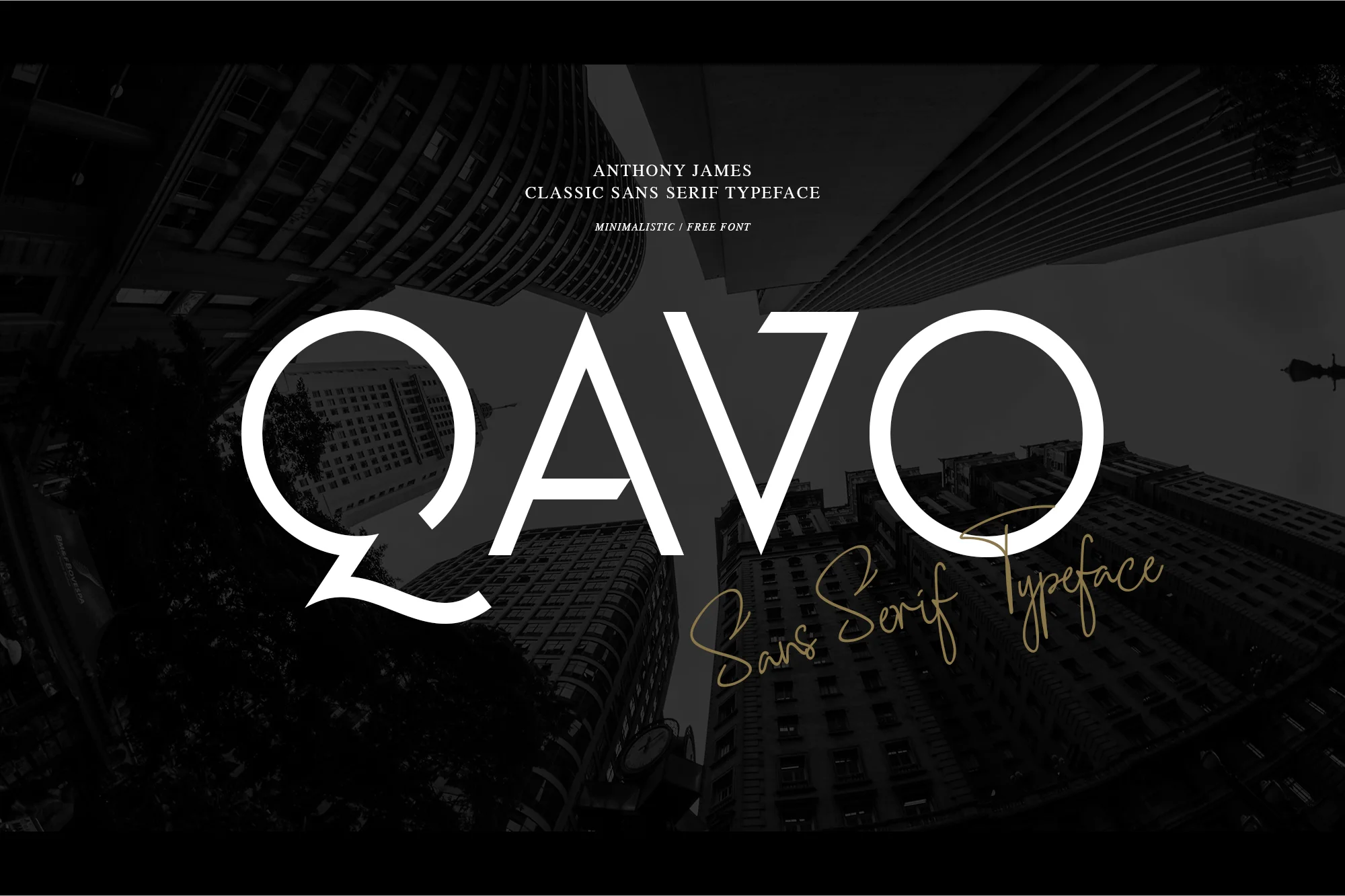 Qavo Website 1.jpg