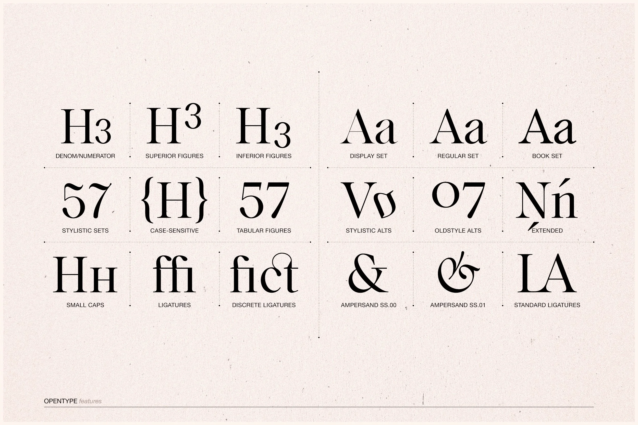 Mi Gusto Creative Market 22.jpg