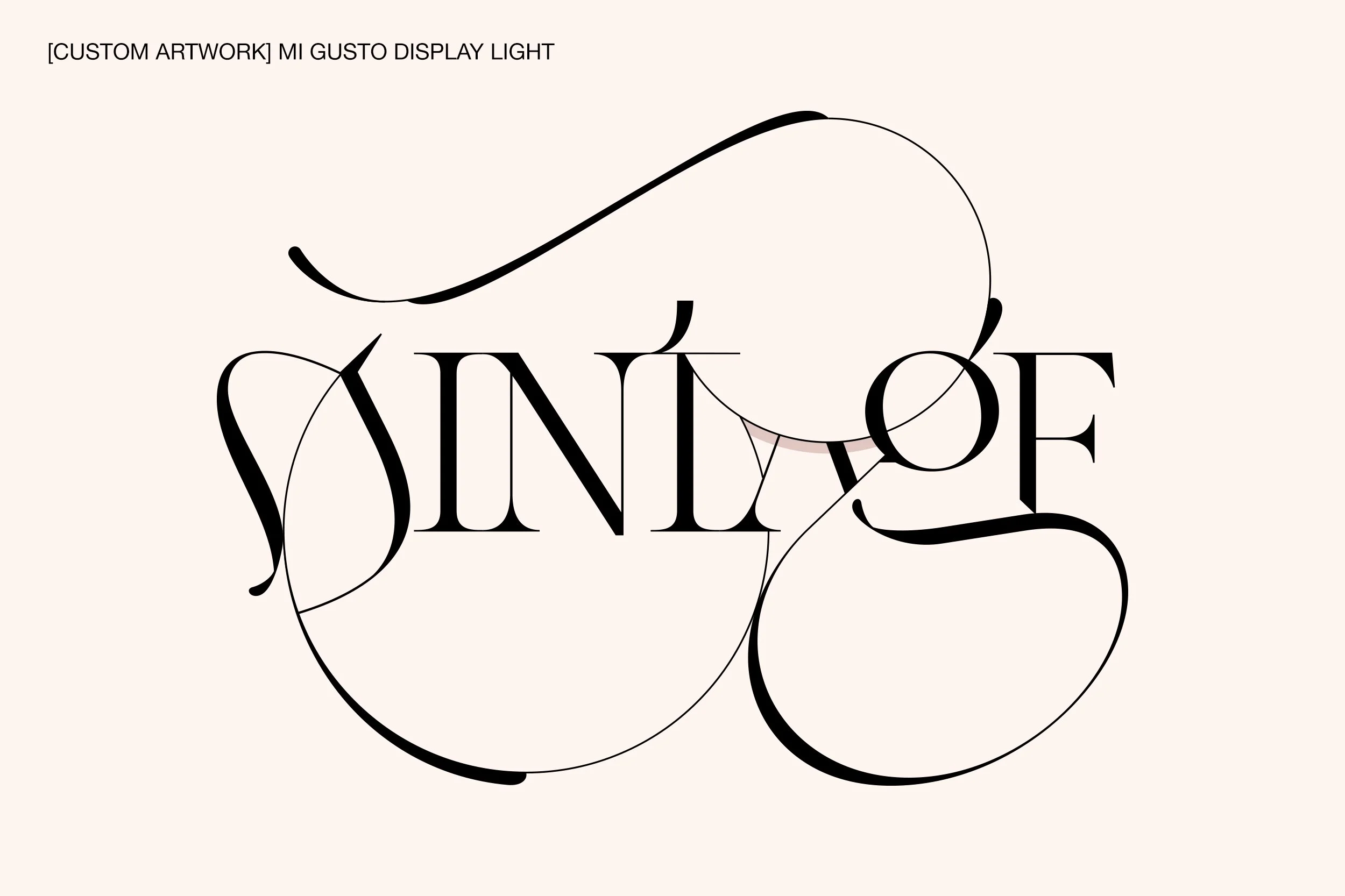 Mi Gusto Creative Market 5.jpg