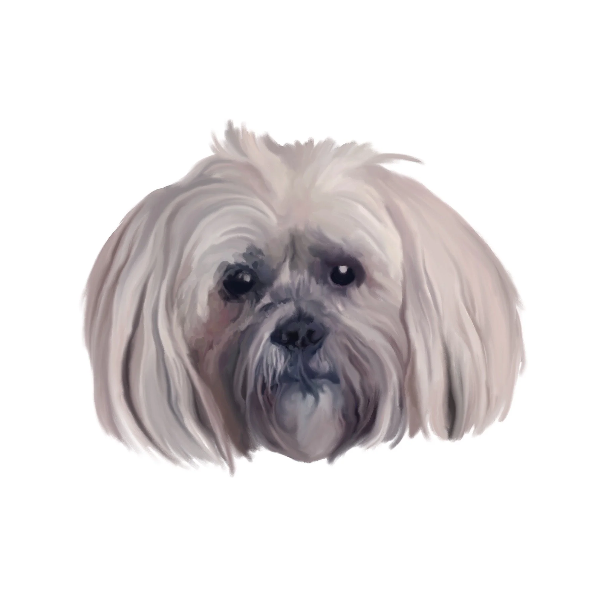 Untitled_Artwork 7.JPG