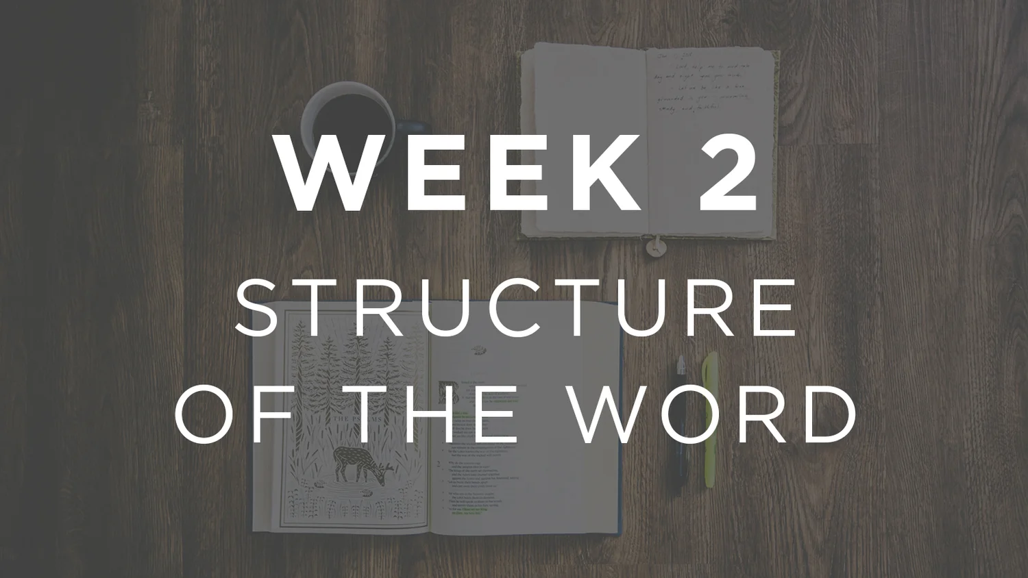 Intro To The Bible - Week 2 | Structure