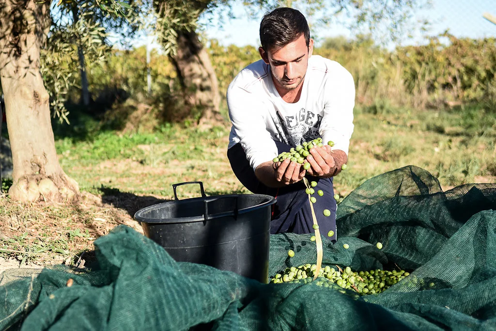 harvest_wr(63of102).jpg