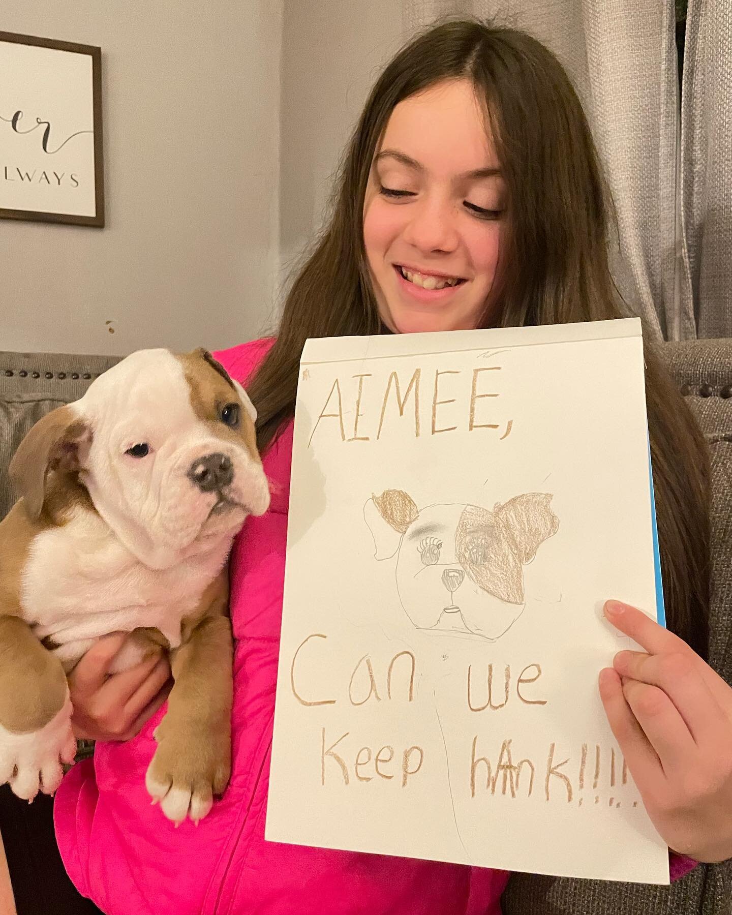 We have the best nanny families. These pups are so loved until they find their new home. Hanks still available 🐶 

#Englishbulldog #bulldog #seattlebulldogs #washingtonbulldogs #seattlepuppies #squishyfacecrew #waiting #englishbulldogpuppy #englishb