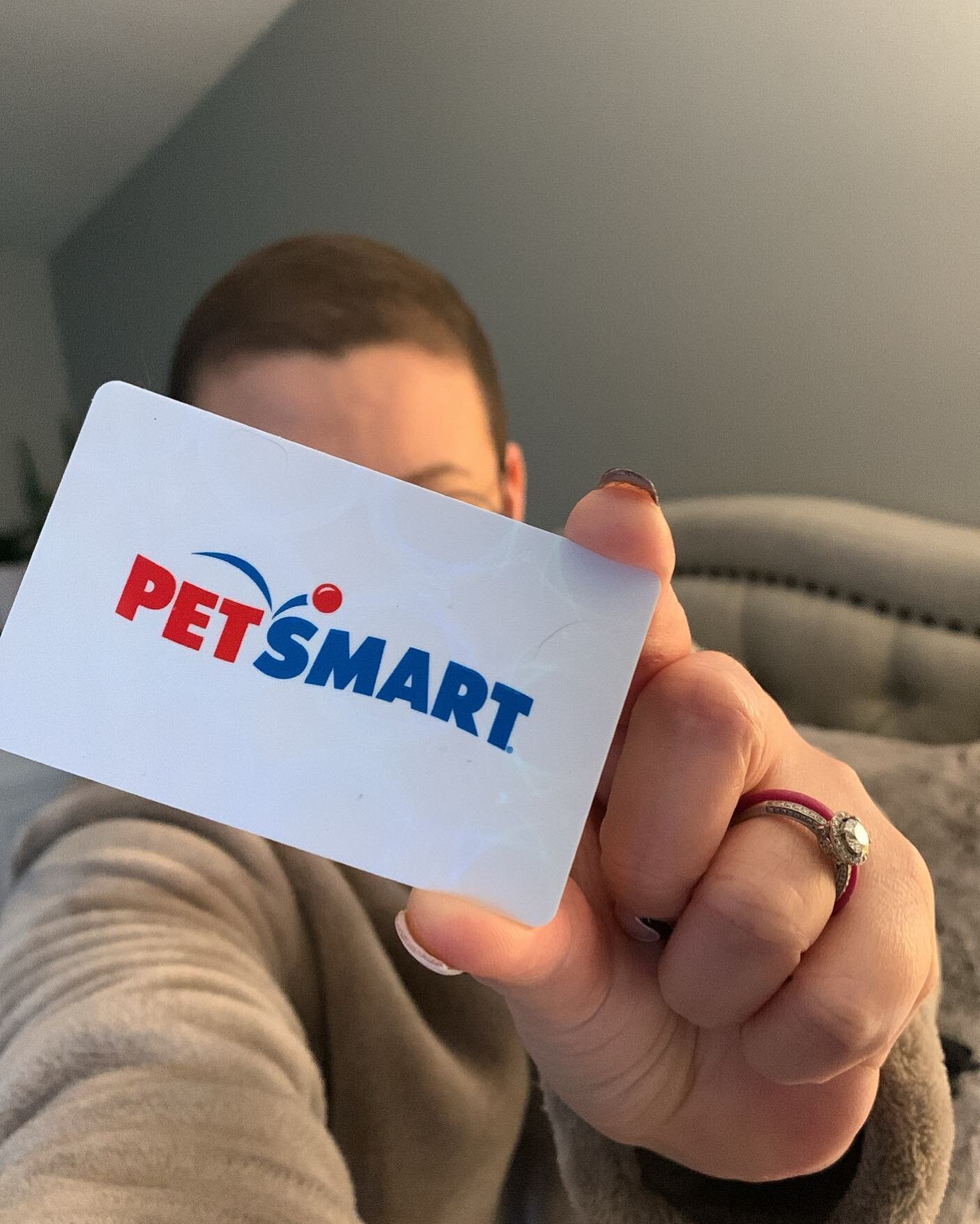 Who doesn&rsquo;t love a giveaway? We have a $25 gift card to @petsmart I&rsquo;d love to give to one of you. 
 
Here are the deets 🔽🔽
🐶 Like and share this post 
🐶 Like one other random photo on my page
🐶 Guess a number between 1-500

I will ge
