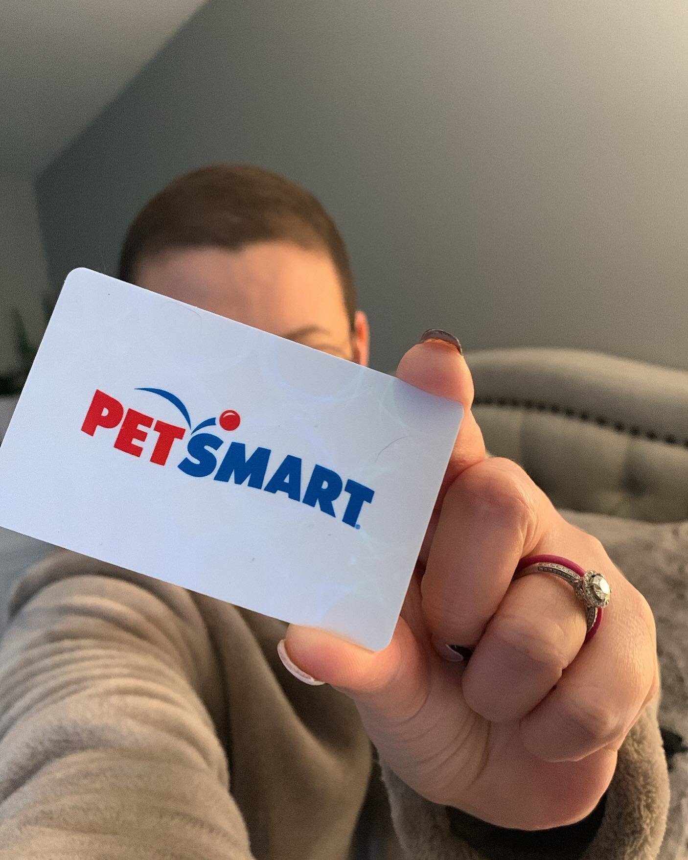 Who doesn&rsquo;t love a giveaway? We have a $25 gift card to @petsmart I&rsquo;d love to give to one of you. 
 
Here are the deets 🔽🔽
🐶 Like and share this post 
🐶 Like one other random photo on my page
🐶 Guess a number between 1-500

I will ge