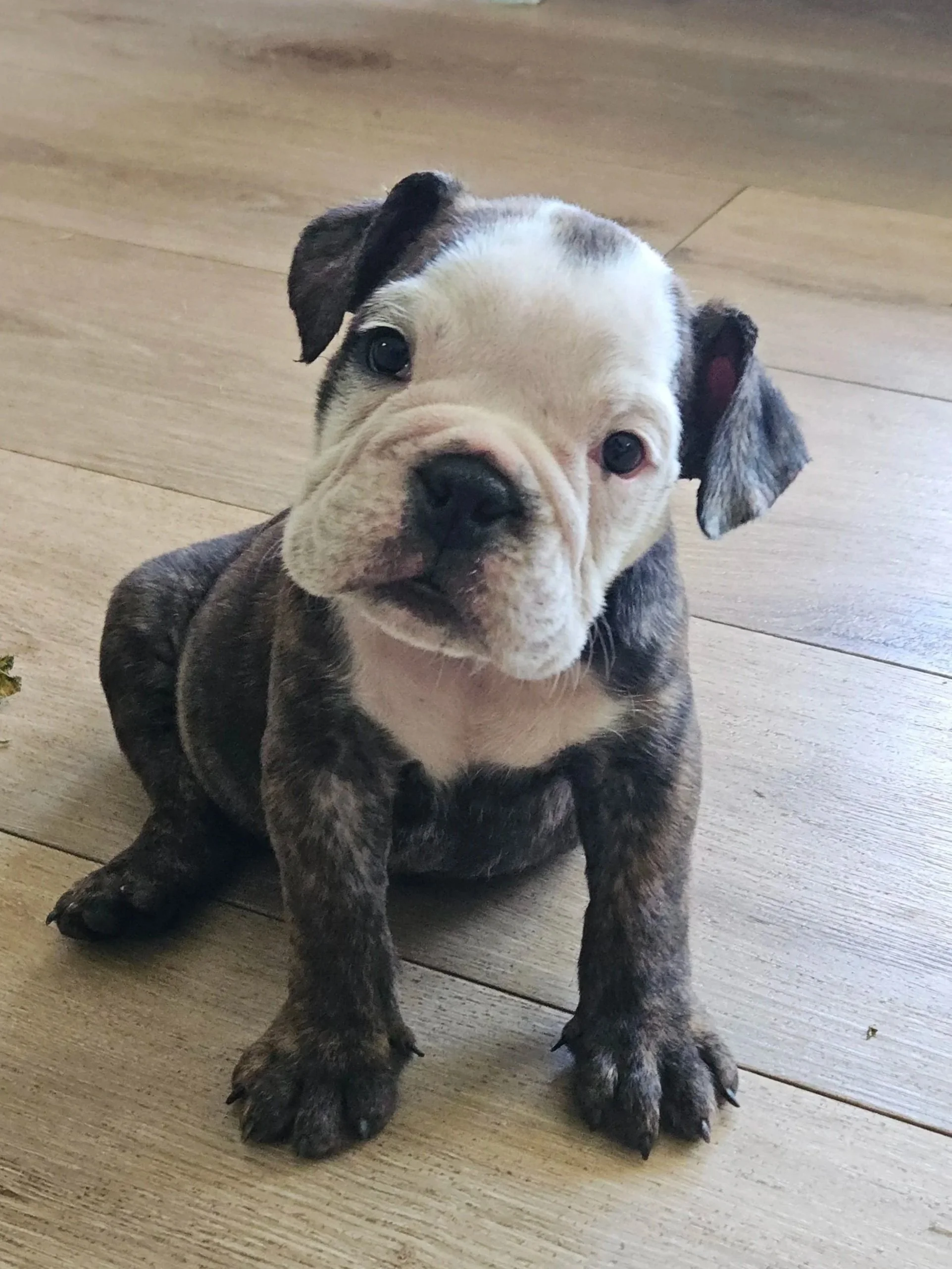 Lenny