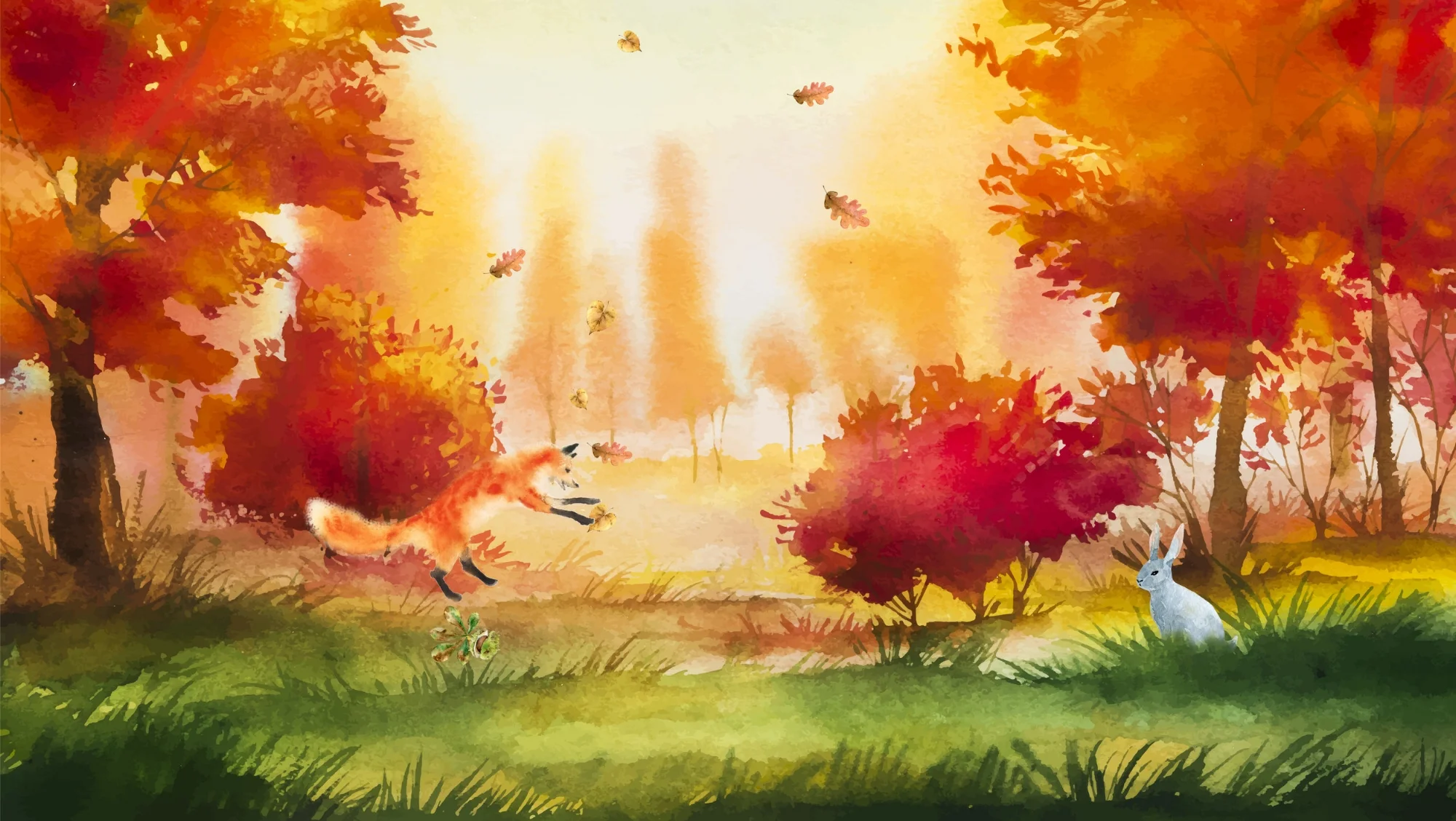 Banner_Kontakt.jpg