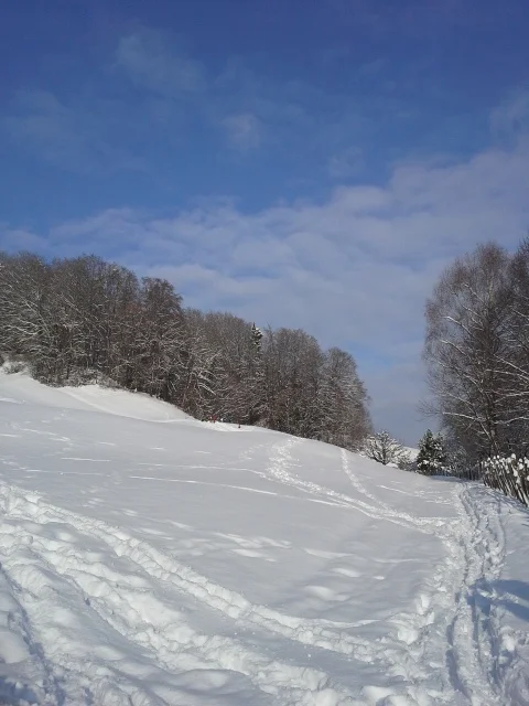20141231_110135.jpg