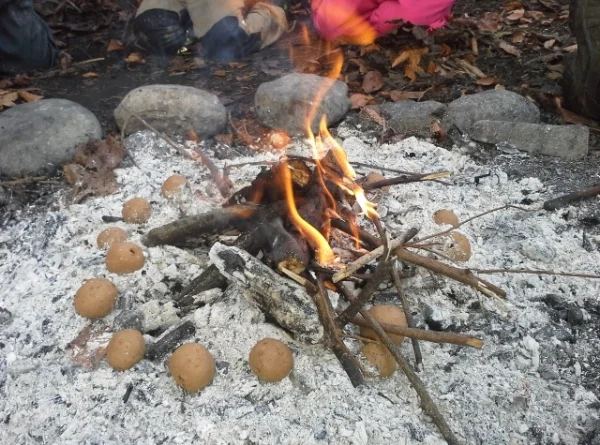 20151116_125448.jpg