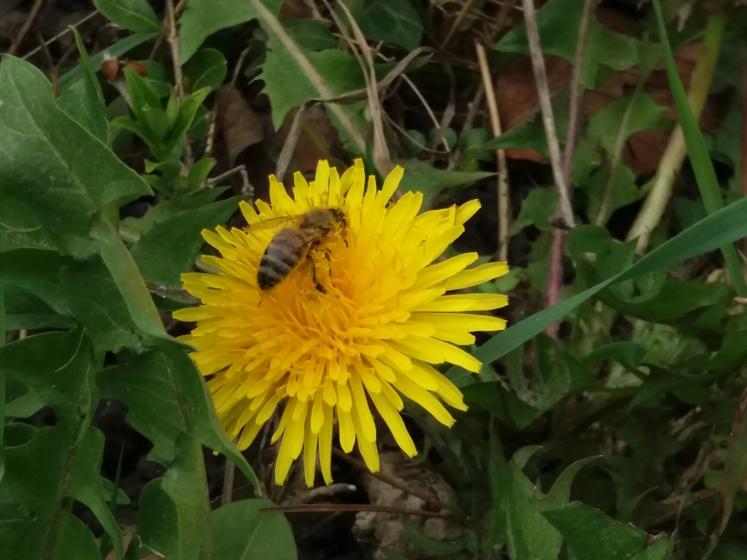 20180412_110134.jpg