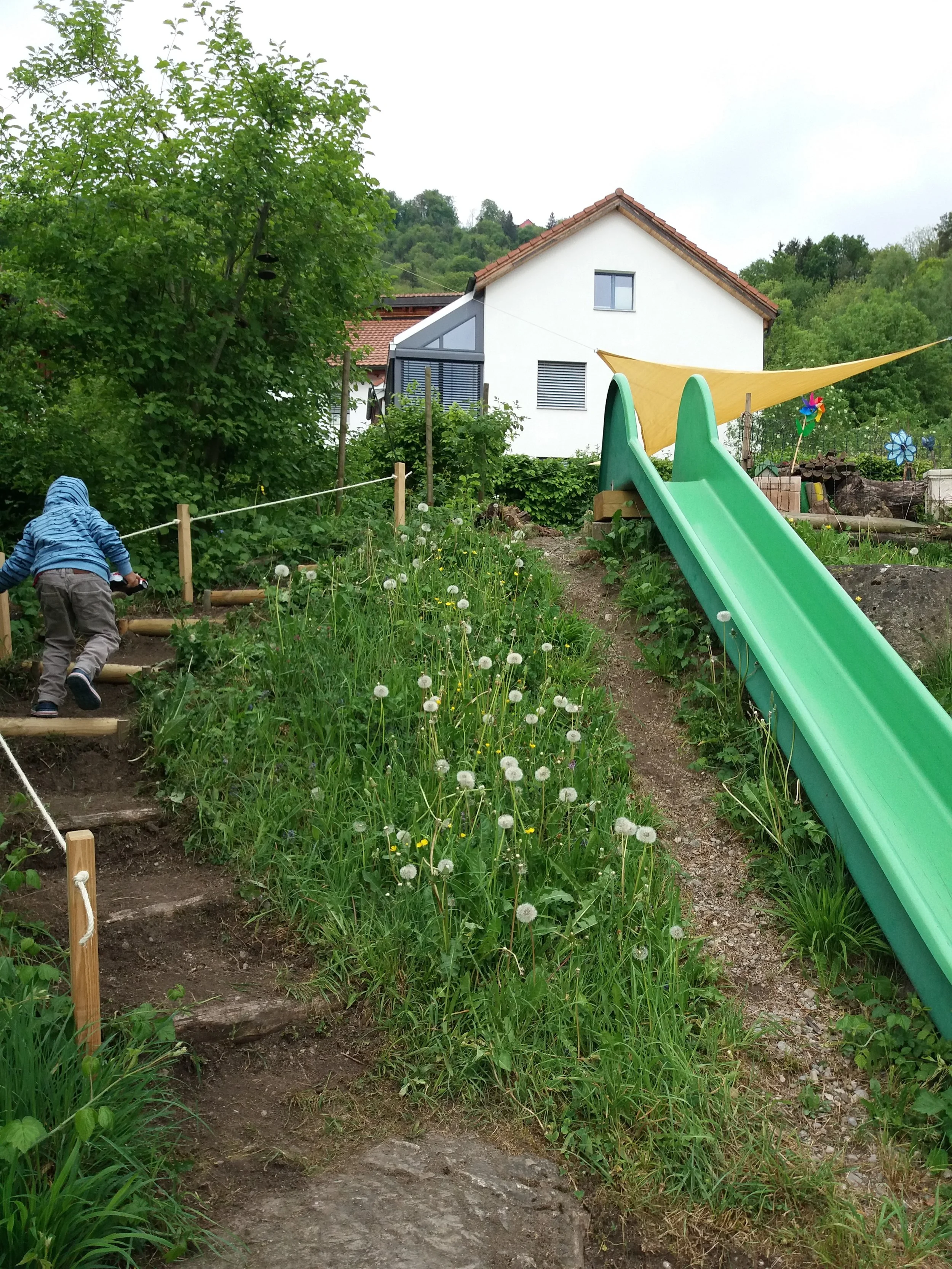 20180502_103210.jpg