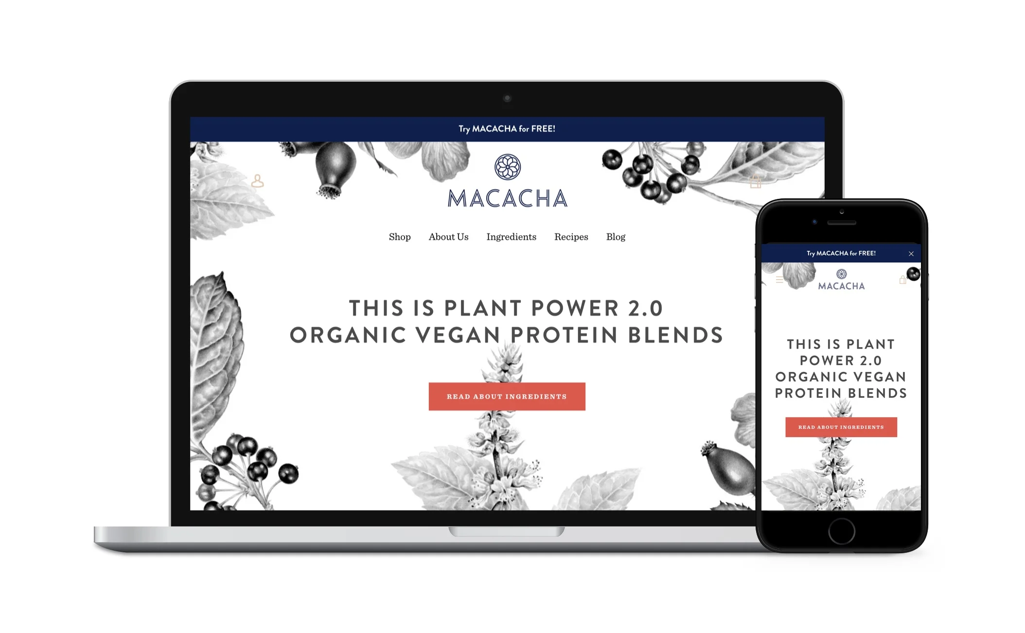 Banner-Macacha-Homepage.jpg