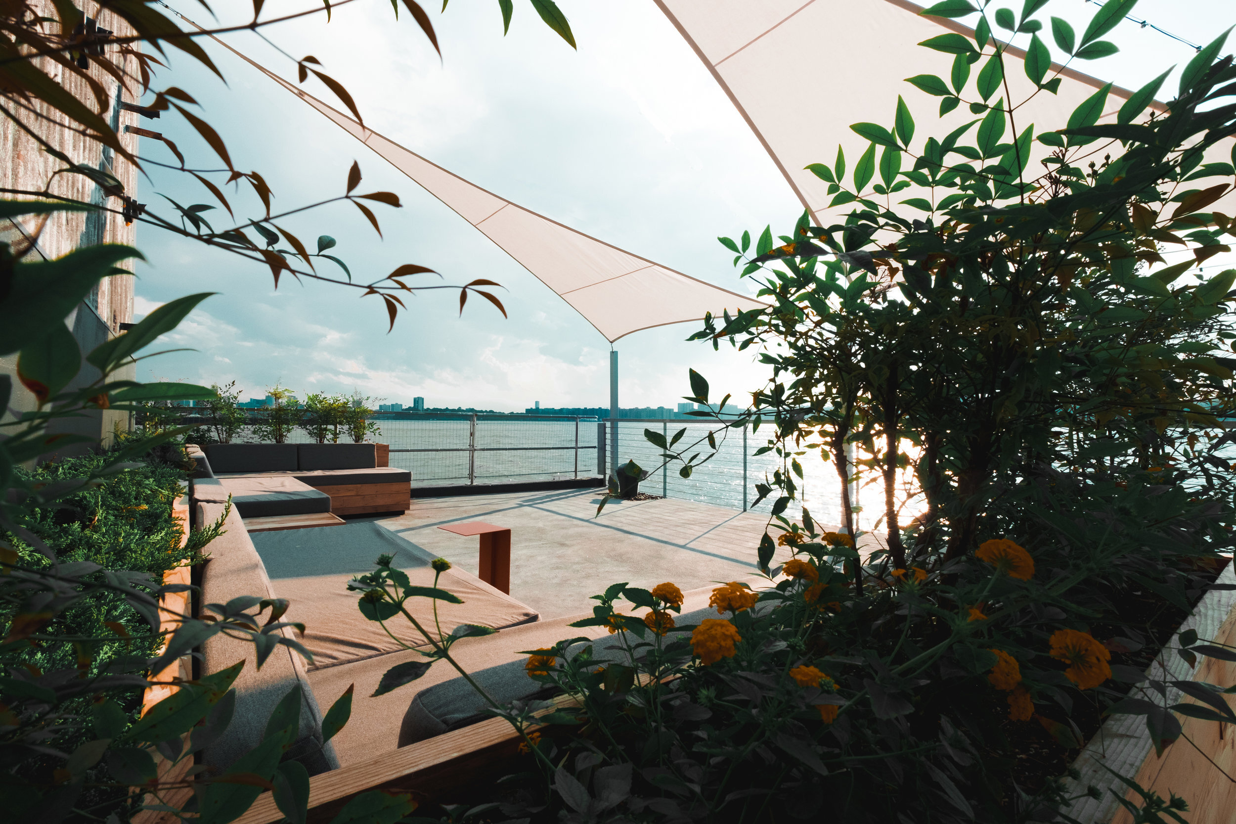 Terrace+2.jpg