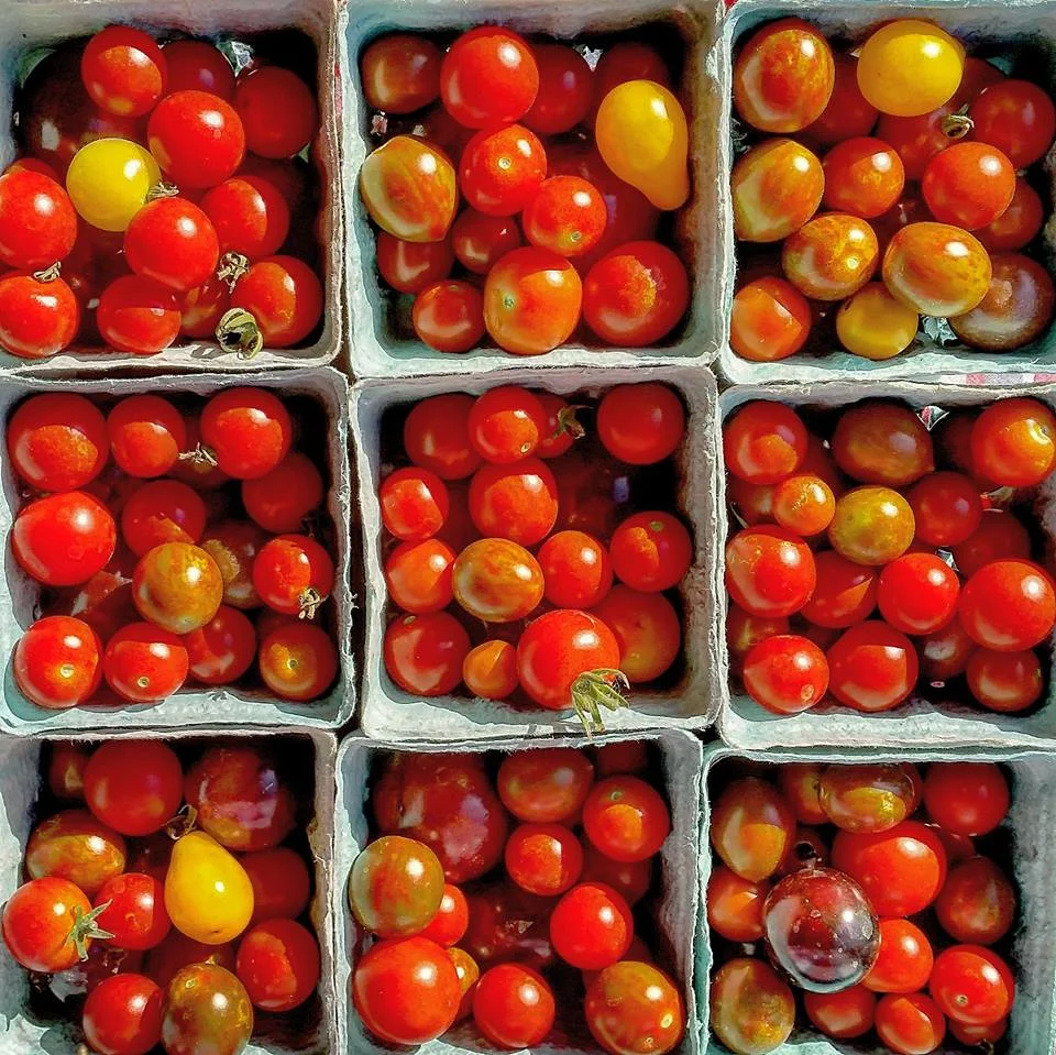 Emadi Acres Farm