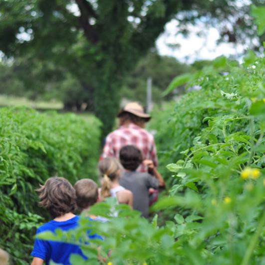 Gray Gardens: Farm Field Trip!