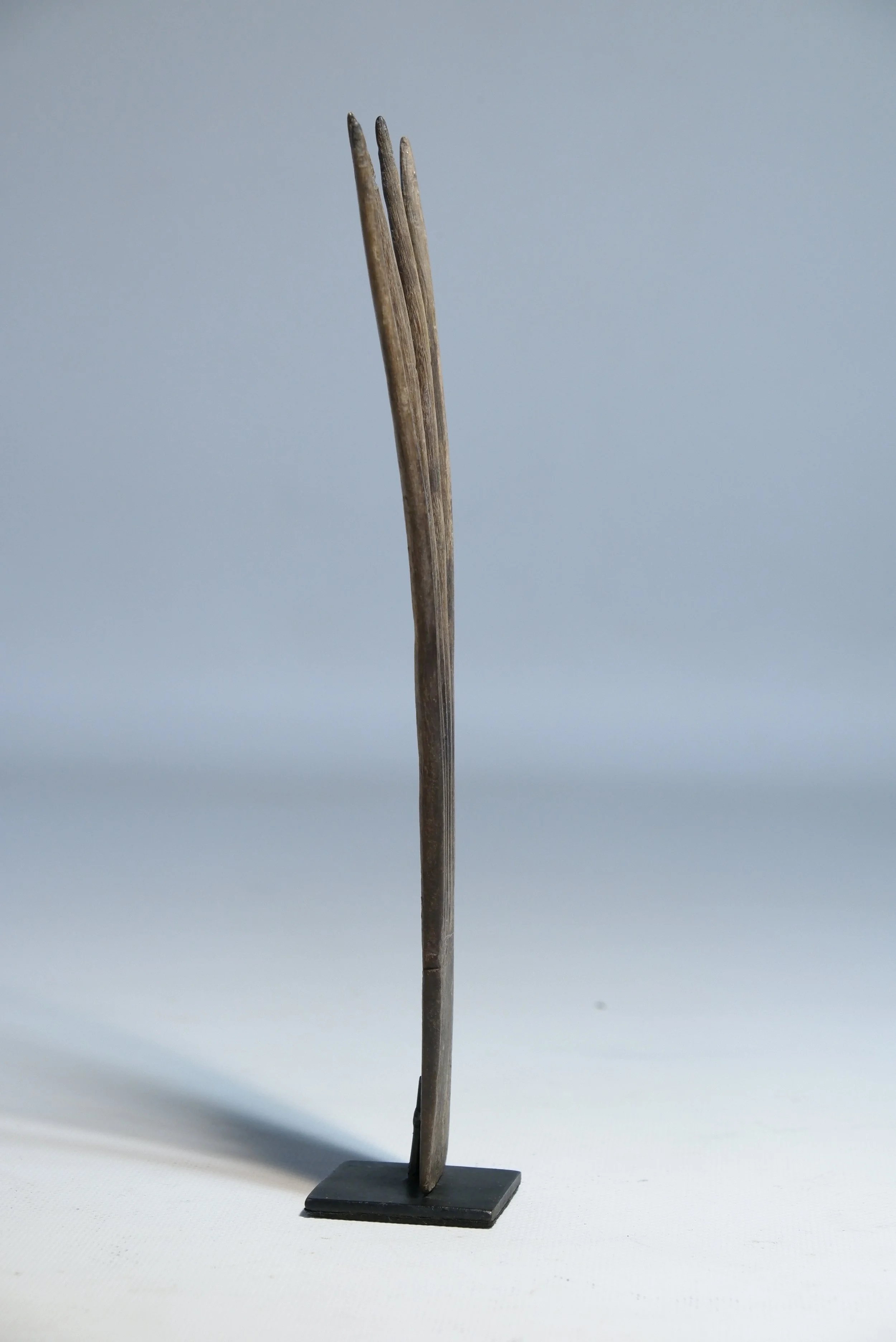 DSCF3295.JPG