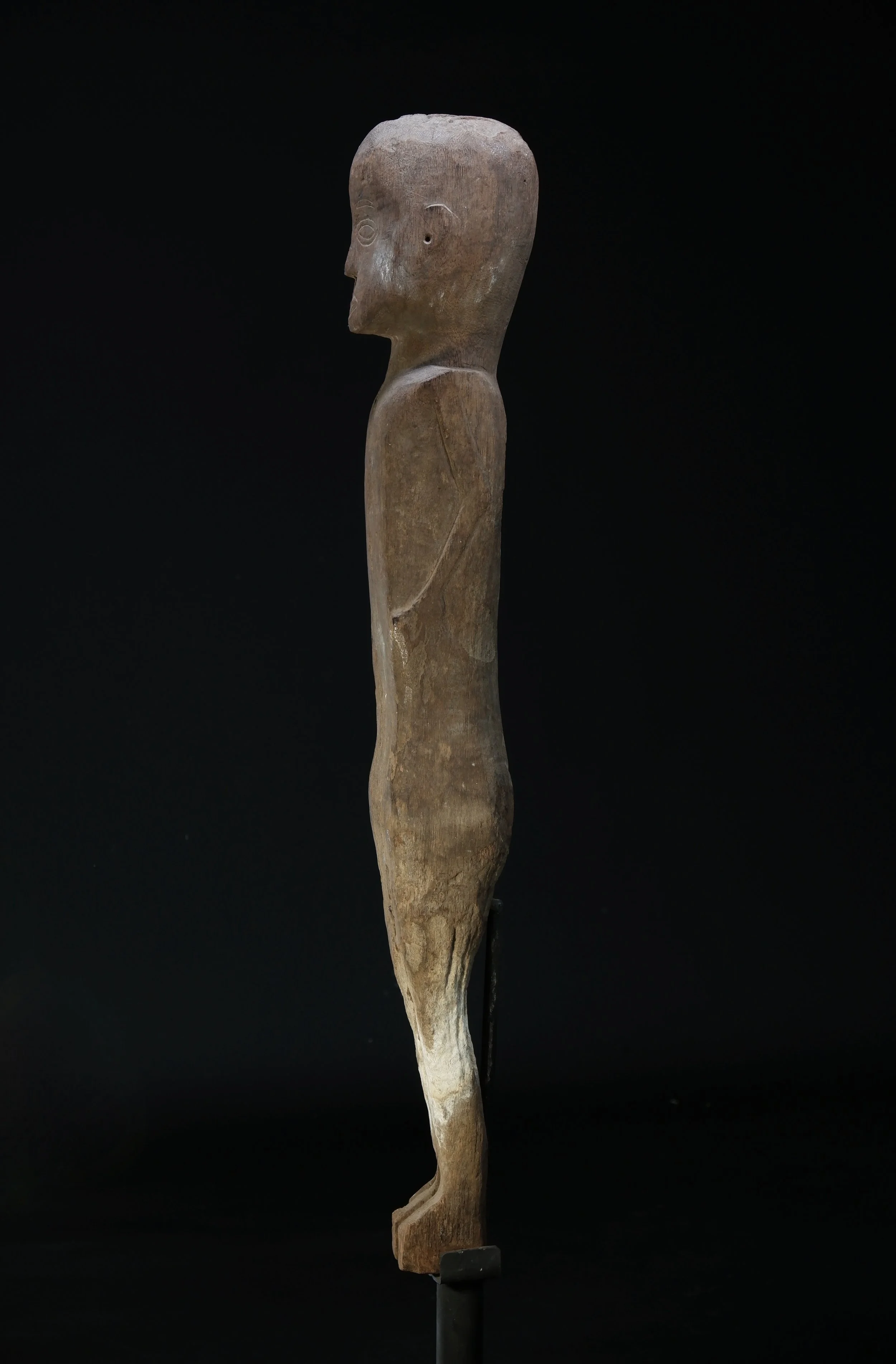 Importazioni - 5 di 5.jpeg