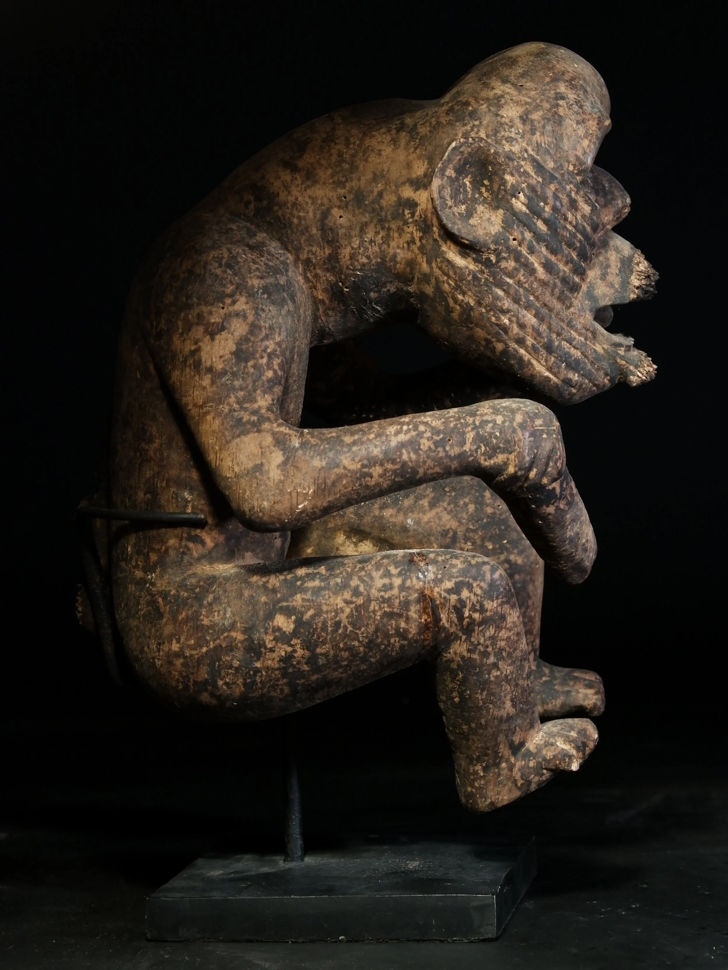 DSCF8558.JPG