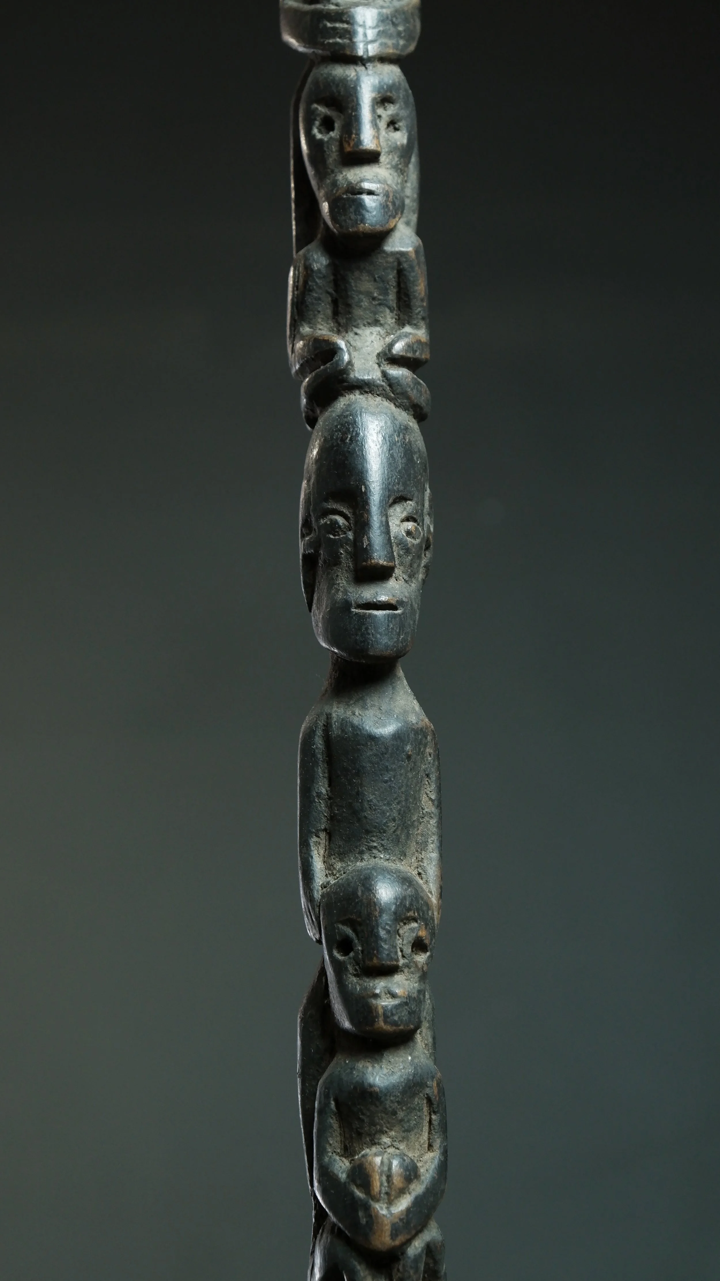 Importazioni - 14 di 29.jpeg