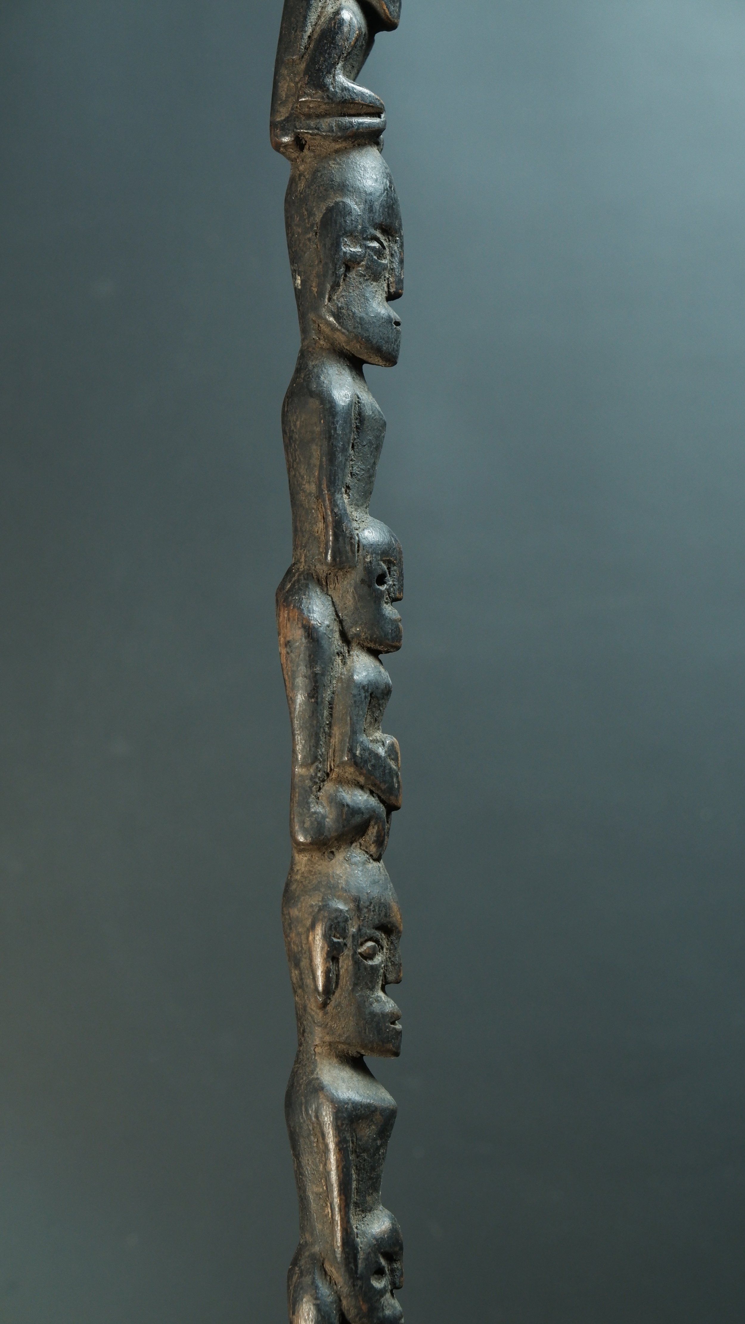 Importazioni - 23 di 29.jpeg