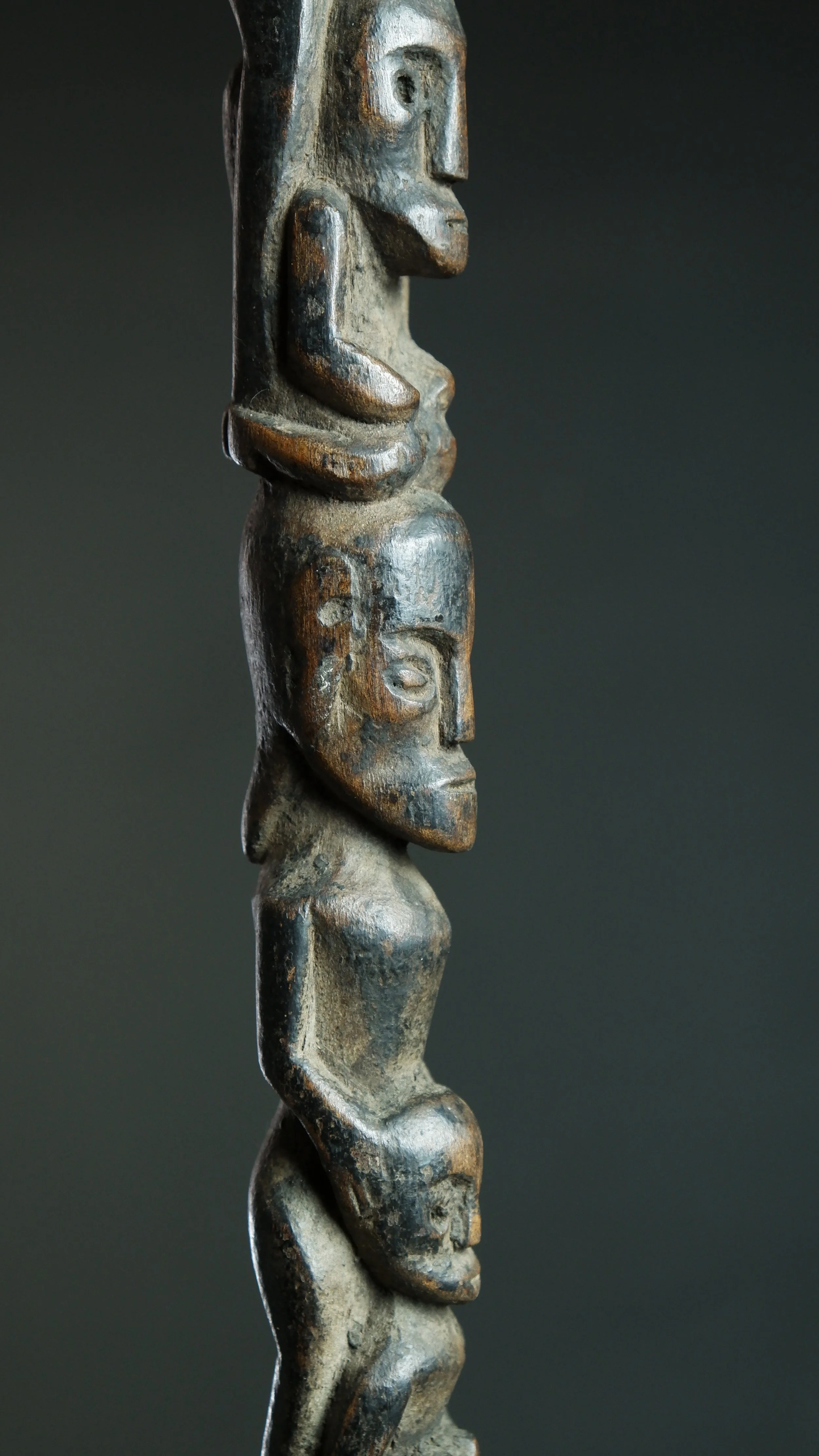 Importazioni - 9 di 29.jpeg