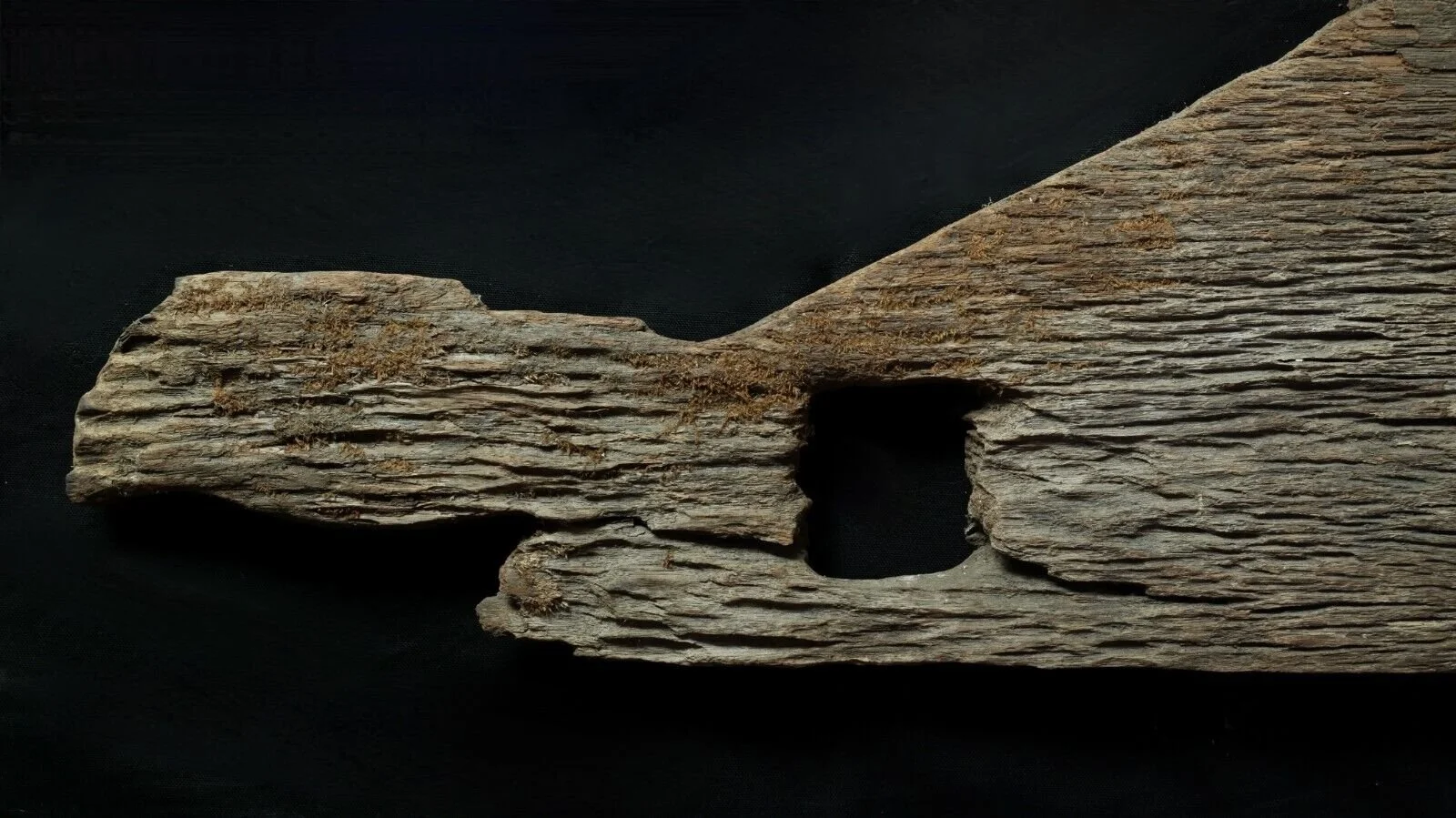 Dayak carved coffin wooden panel side left.jpeg