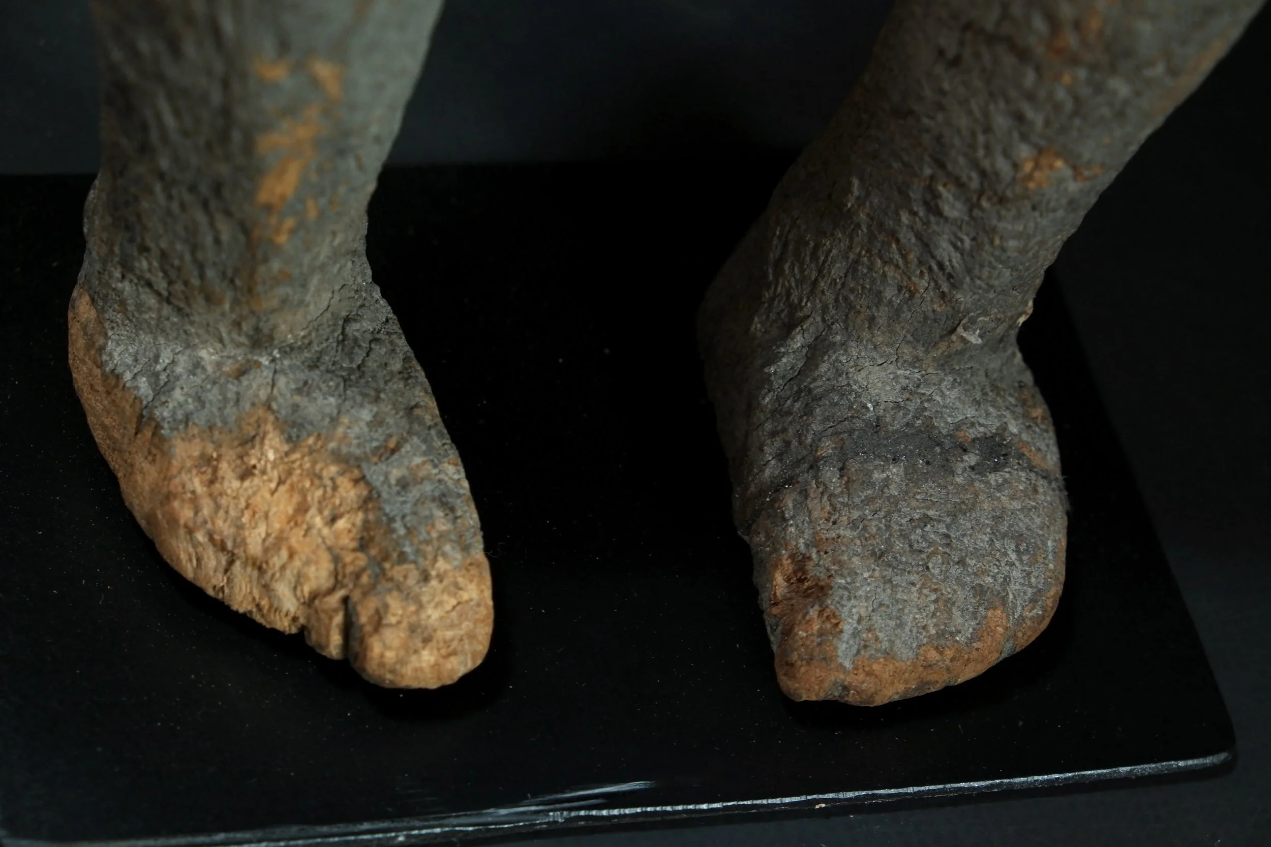 Importazioni - 16 di 18.jpeg