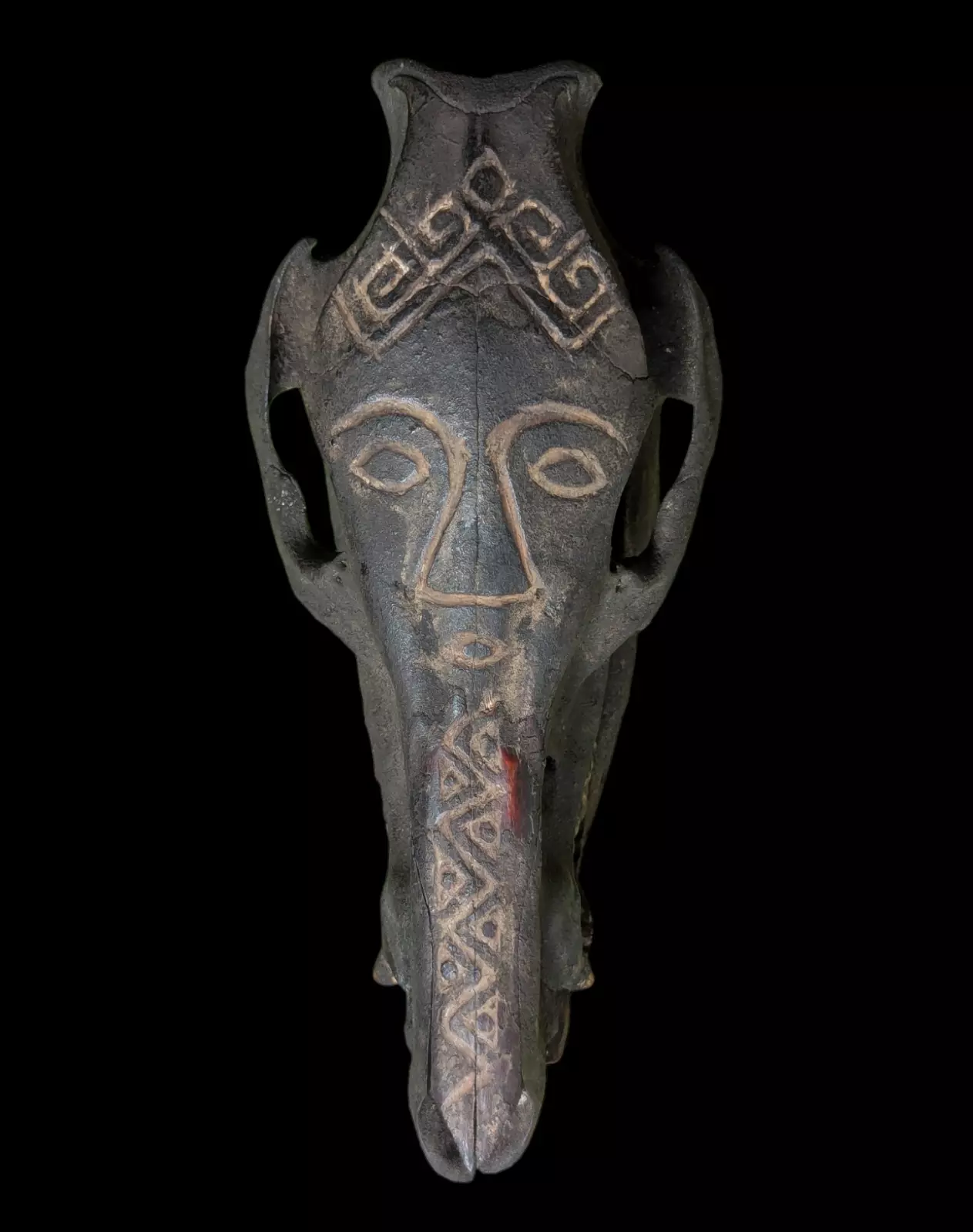 COARVED PIG SKULL MASK TIMOR.jpg