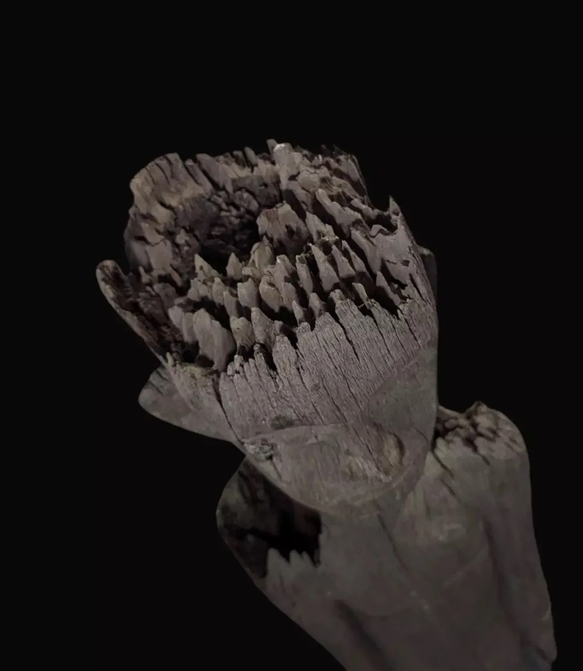 patung antique statue dayak hampatong borneo erosion.jpeg