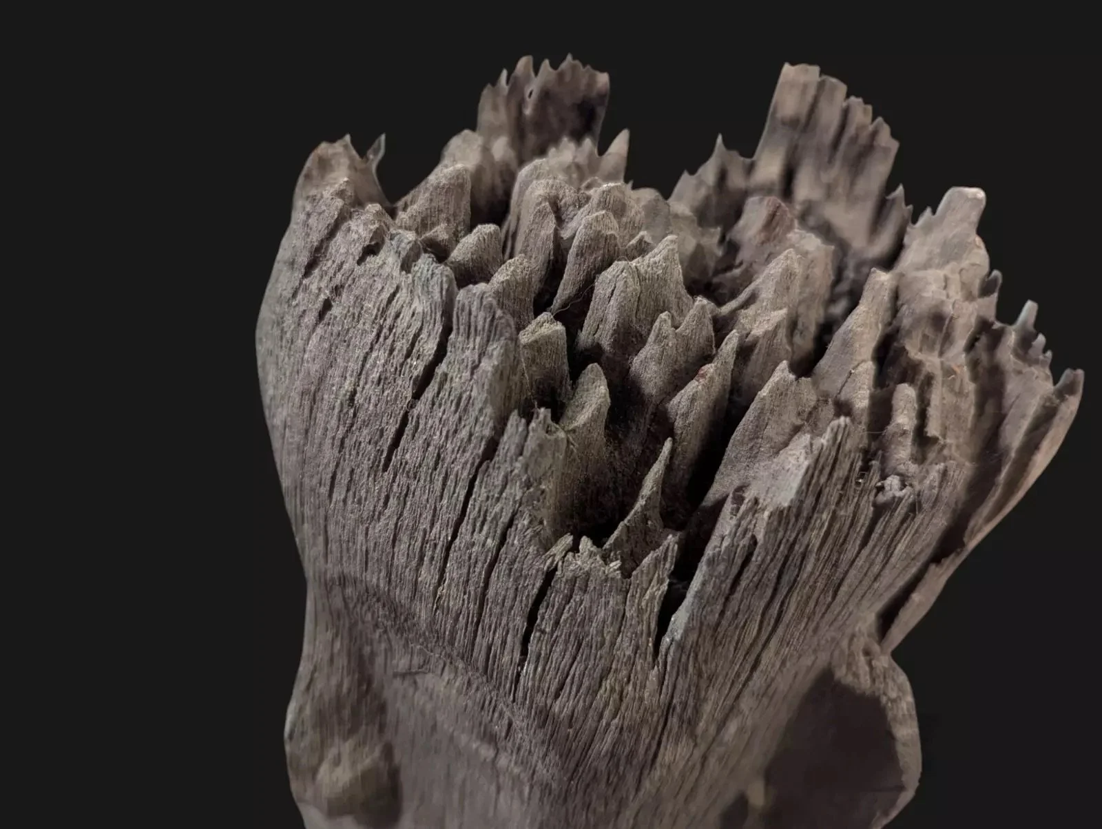 patung antique statue dayak hampatong borneo erosion 2.jpeg