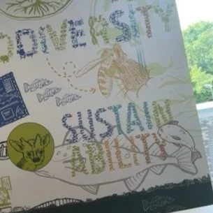 Sustainable Future Towns