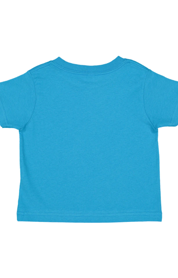 RABBITSKINS_TODDLER_JERSEY_T_TURQUOISE_BACK.png