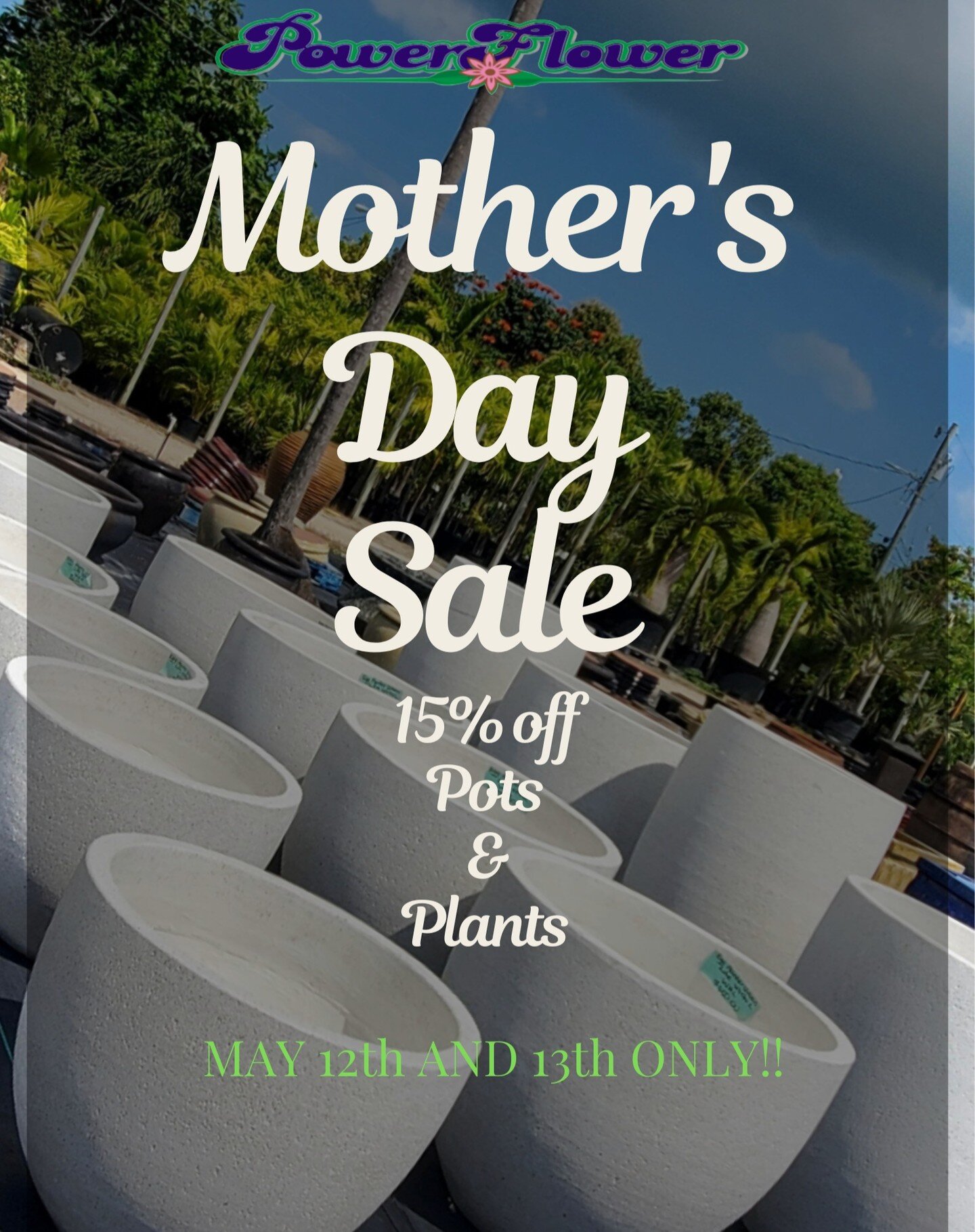 2 days left to enjoy 15% off your purchase of any pots and plants in our nursery!!