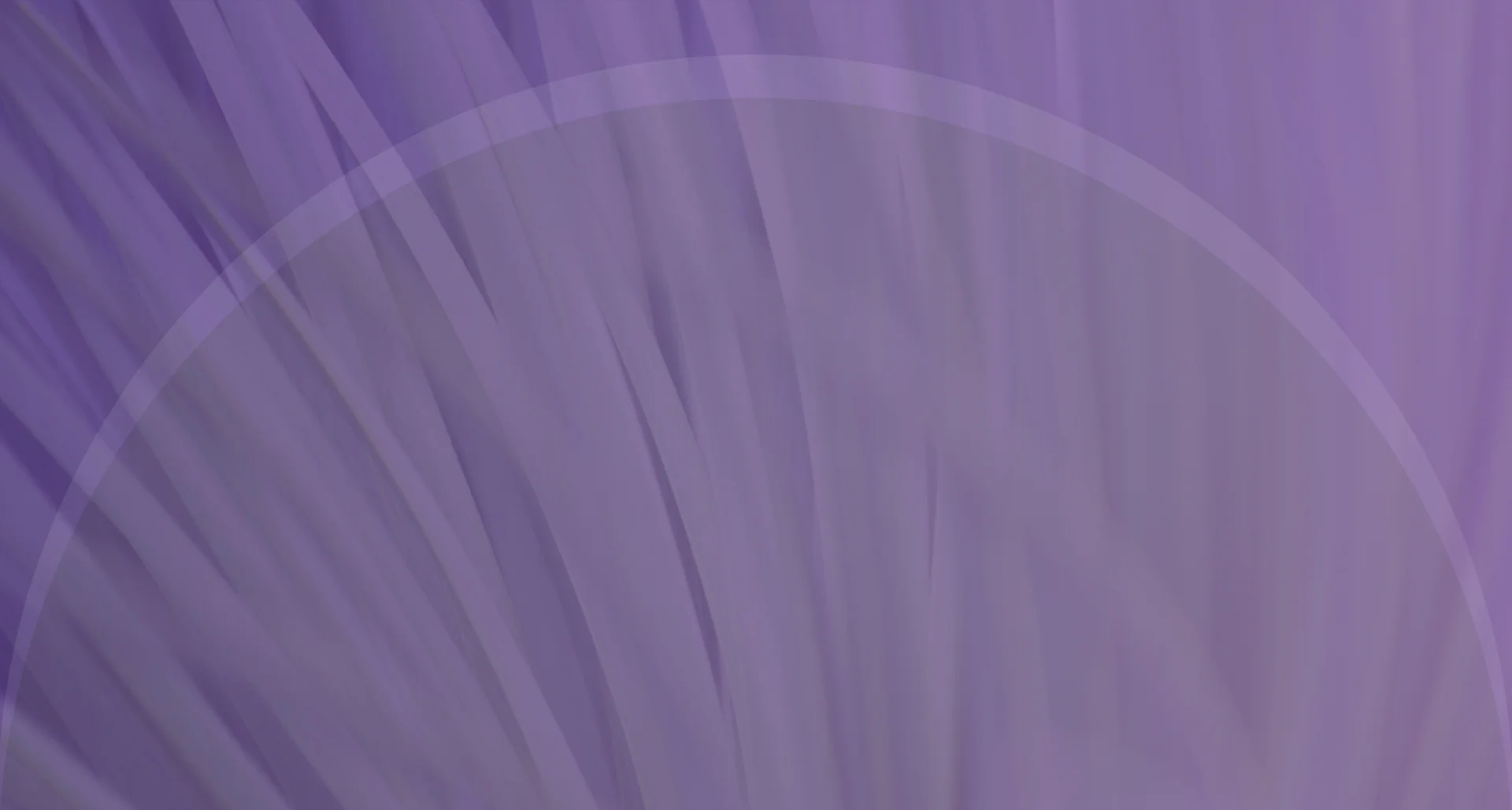 bkgd-purple-banner.jpg