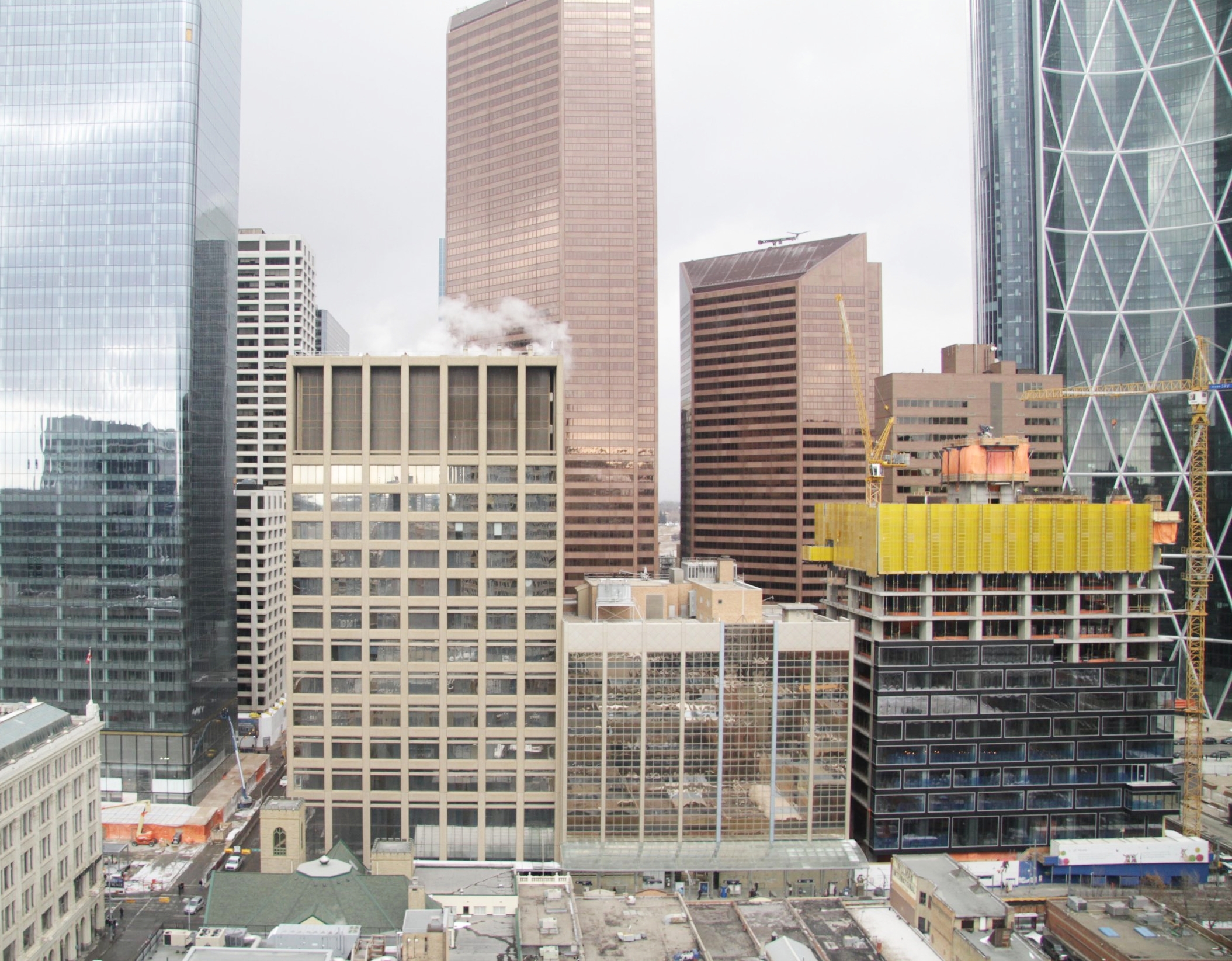 TELUS LEN WERRY COMPLEX FEASIBILITY STUDY